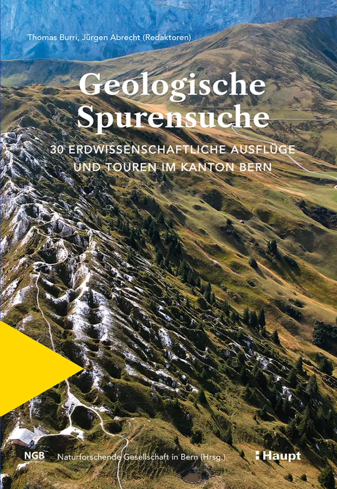 Cover: 9783258083032 | Geologische Spurensuche | Thomas Burri (u. a.) | Taschenbuch | 308 S.