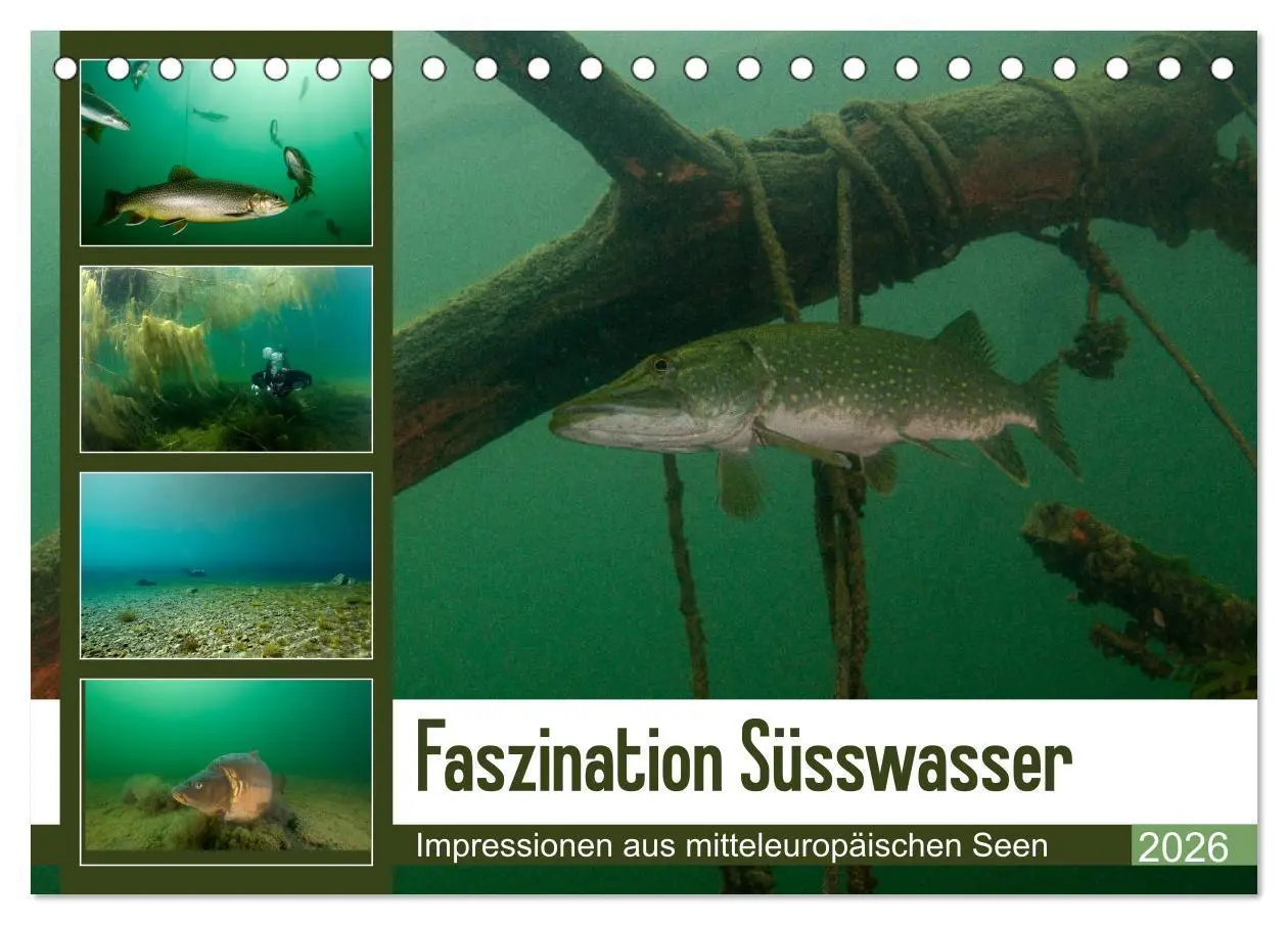 Cover: 9783457763032 | Faszination Süsswasser (Tischkalender 2026 DIN A5 quer), CALVENDO...