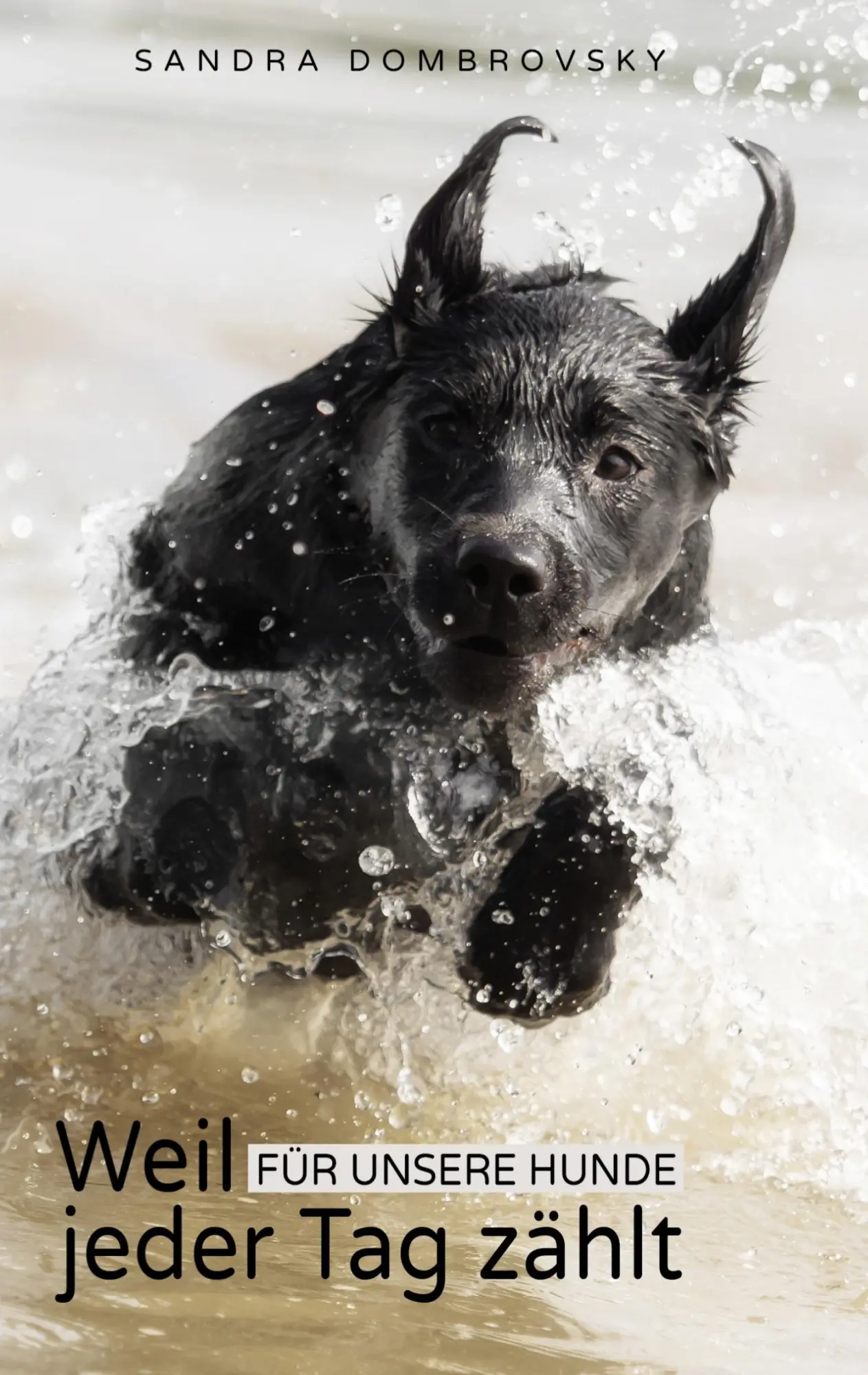 Cover: 9783755753032 | Weil für unsere Hunde jeder Tag zählt | Sandra Dombrovsky | Buch