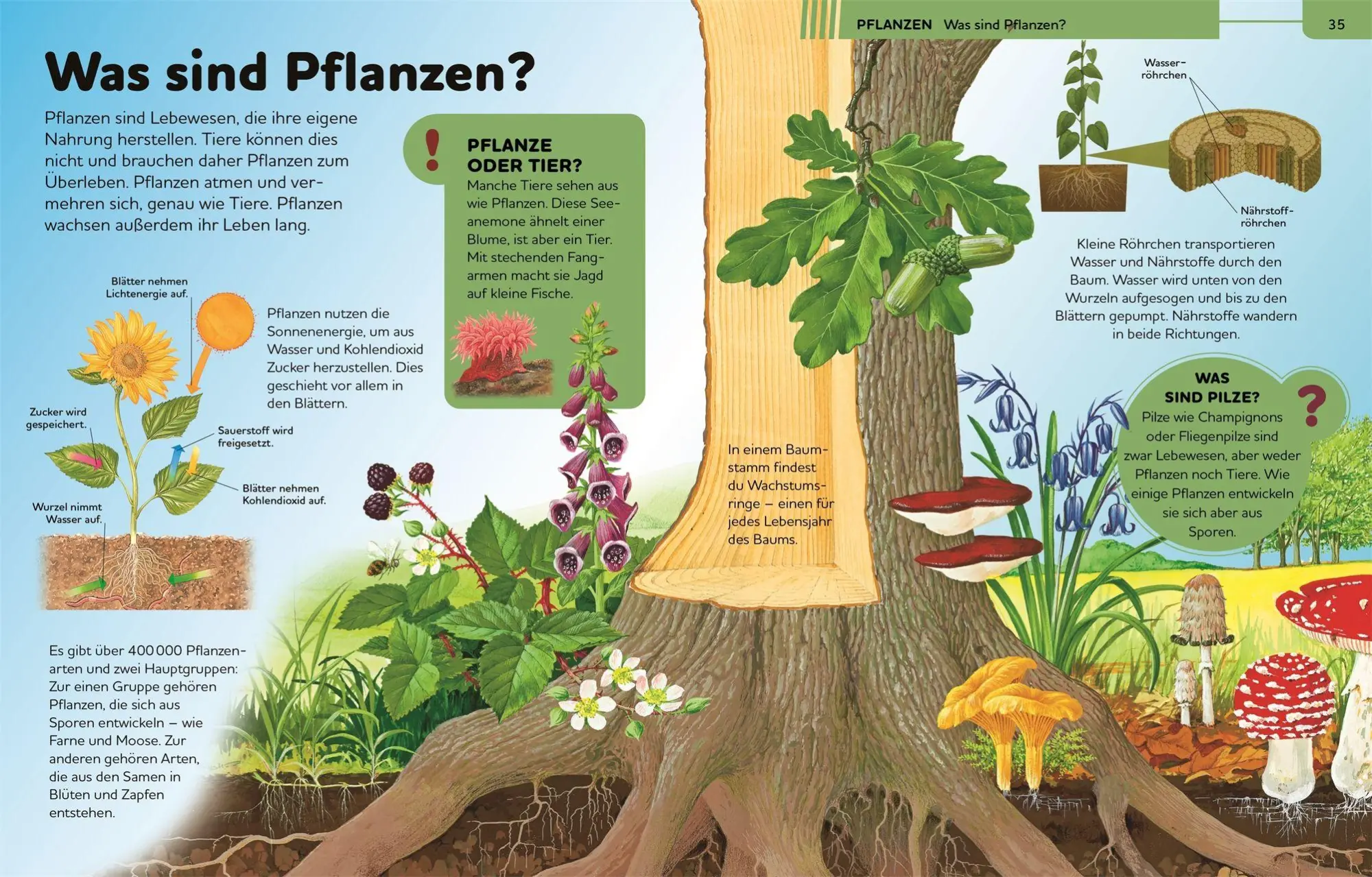 Bild: 9783831053032 | Das große Kinderlexikon Grundschulwissen | Philip Steele (u. a.)