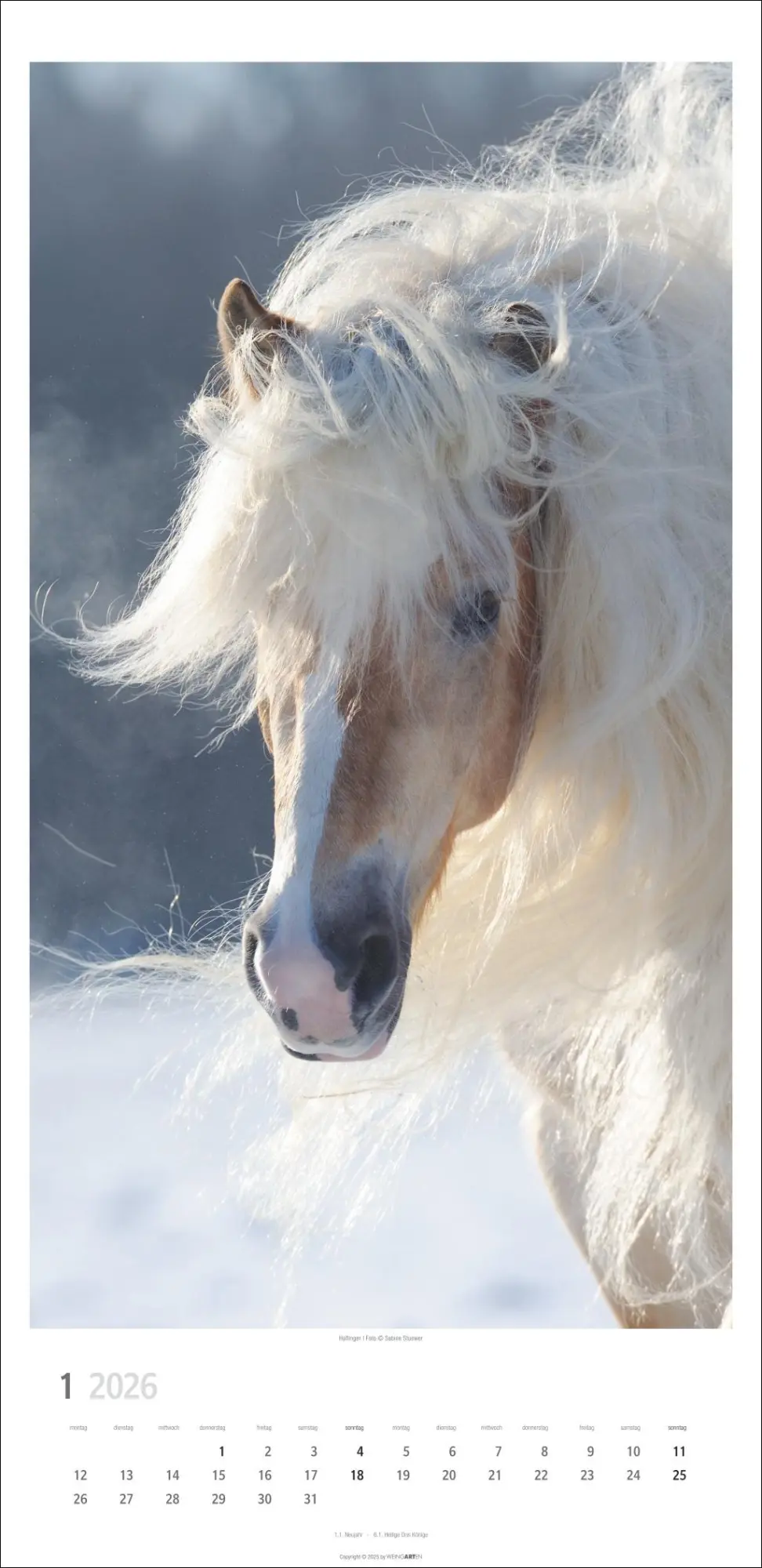 Bild: 9783839903032 | Pferde Kalender 2026 | Sabine Stuewer | Kalender | Spiralbindung