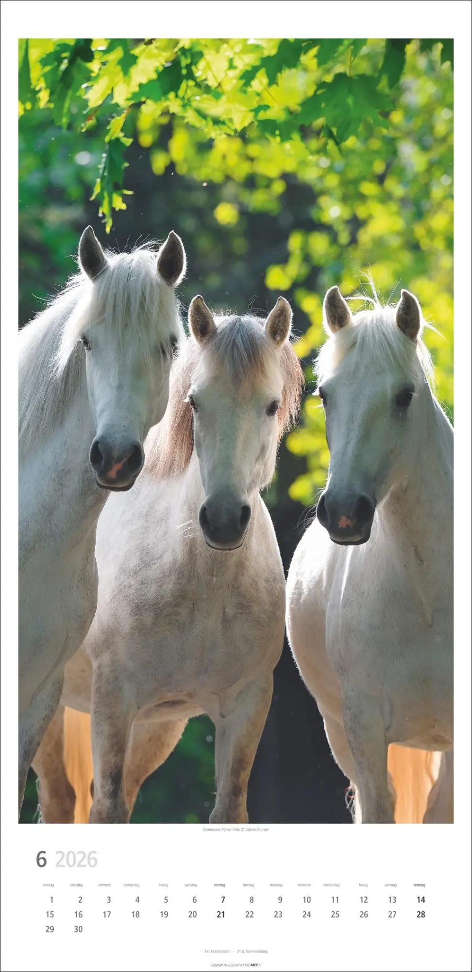 Bild: 9783839903032 | Pferde Kalender 2026 | Sabine Stuewer | Kalender | Spiralbindung