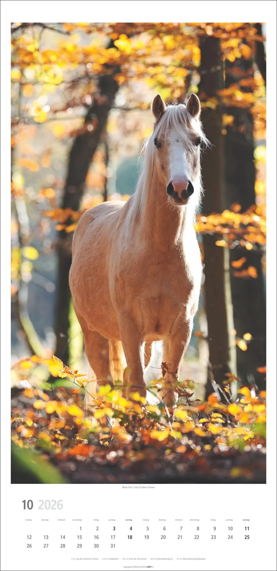 Bild: 9783839903032 | Pferde Kalender 2026 | Sabine Stuewer | Kalender | Spiralbindung