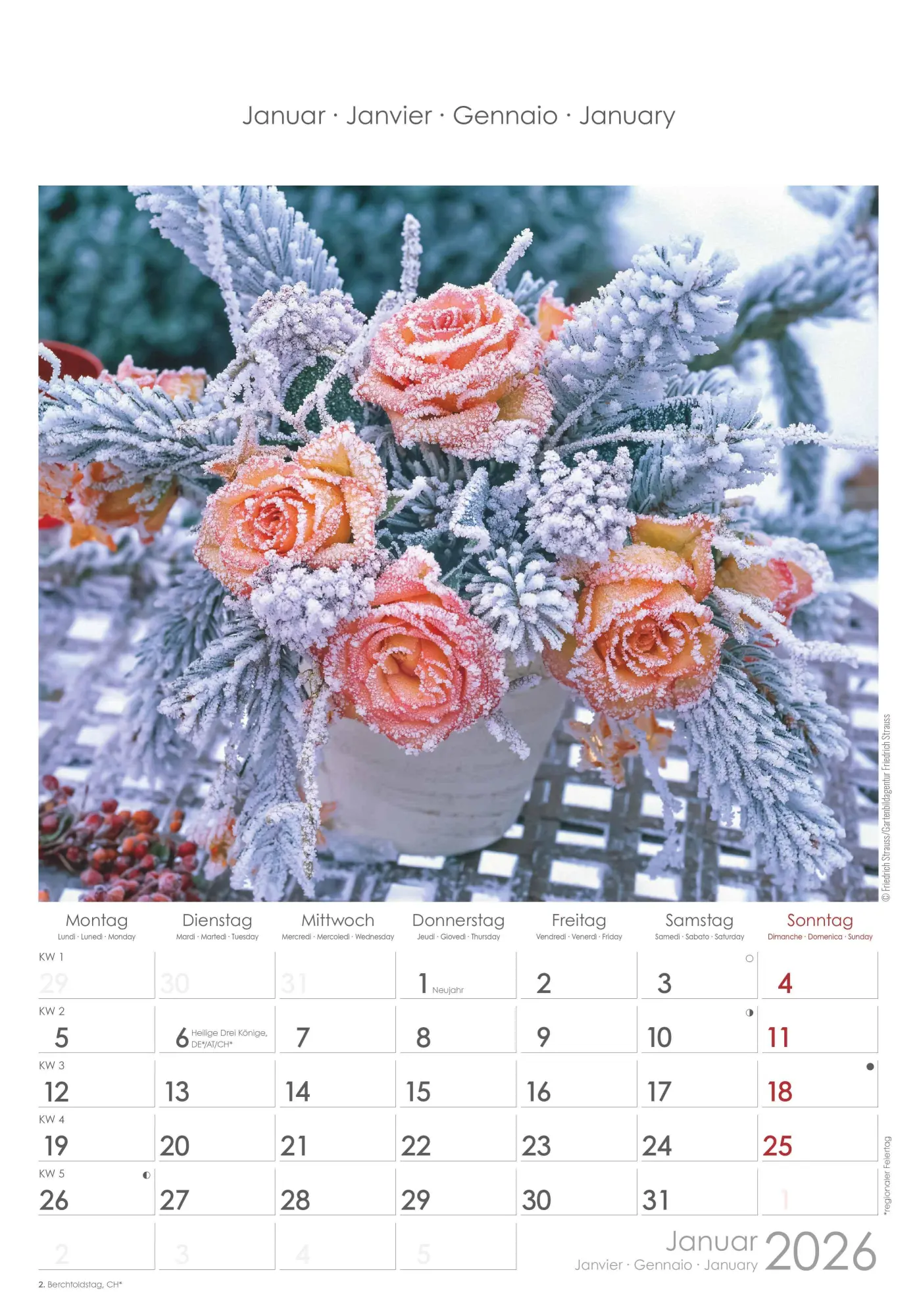 Bild: 4069095003132 | Rosenträume 2026 - Bildkalender 23,7x34 cm - Kalender mit Platz für...