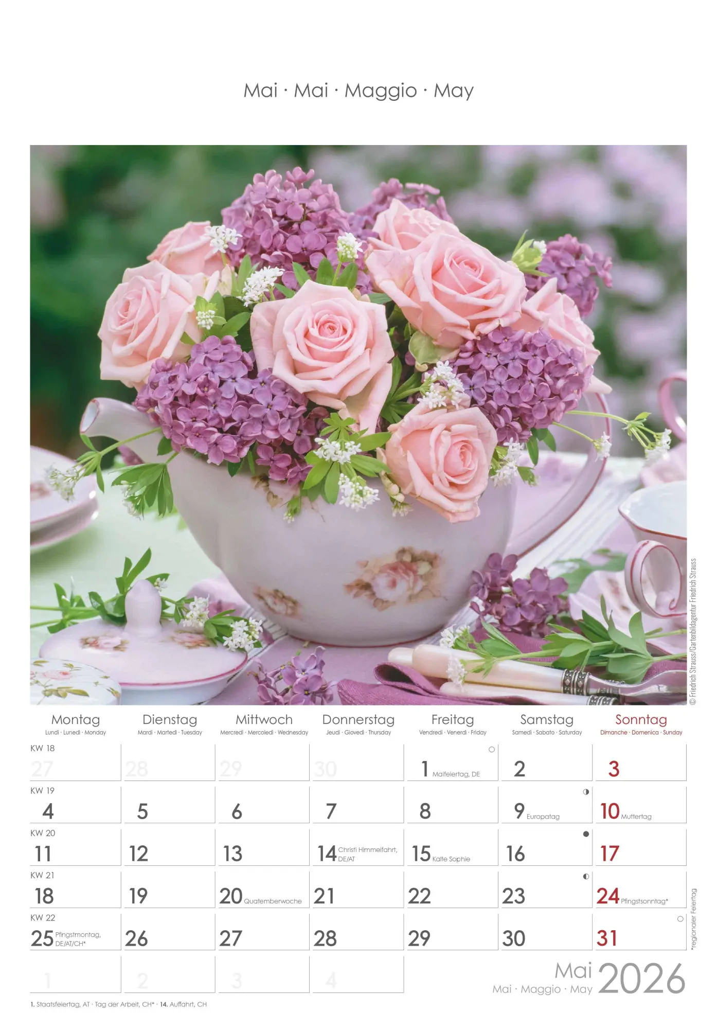 Bild: 4069095003132 | Rosenträume 2026 - Bildkalender 23,7x34 cm - Kalender mit Platz für...