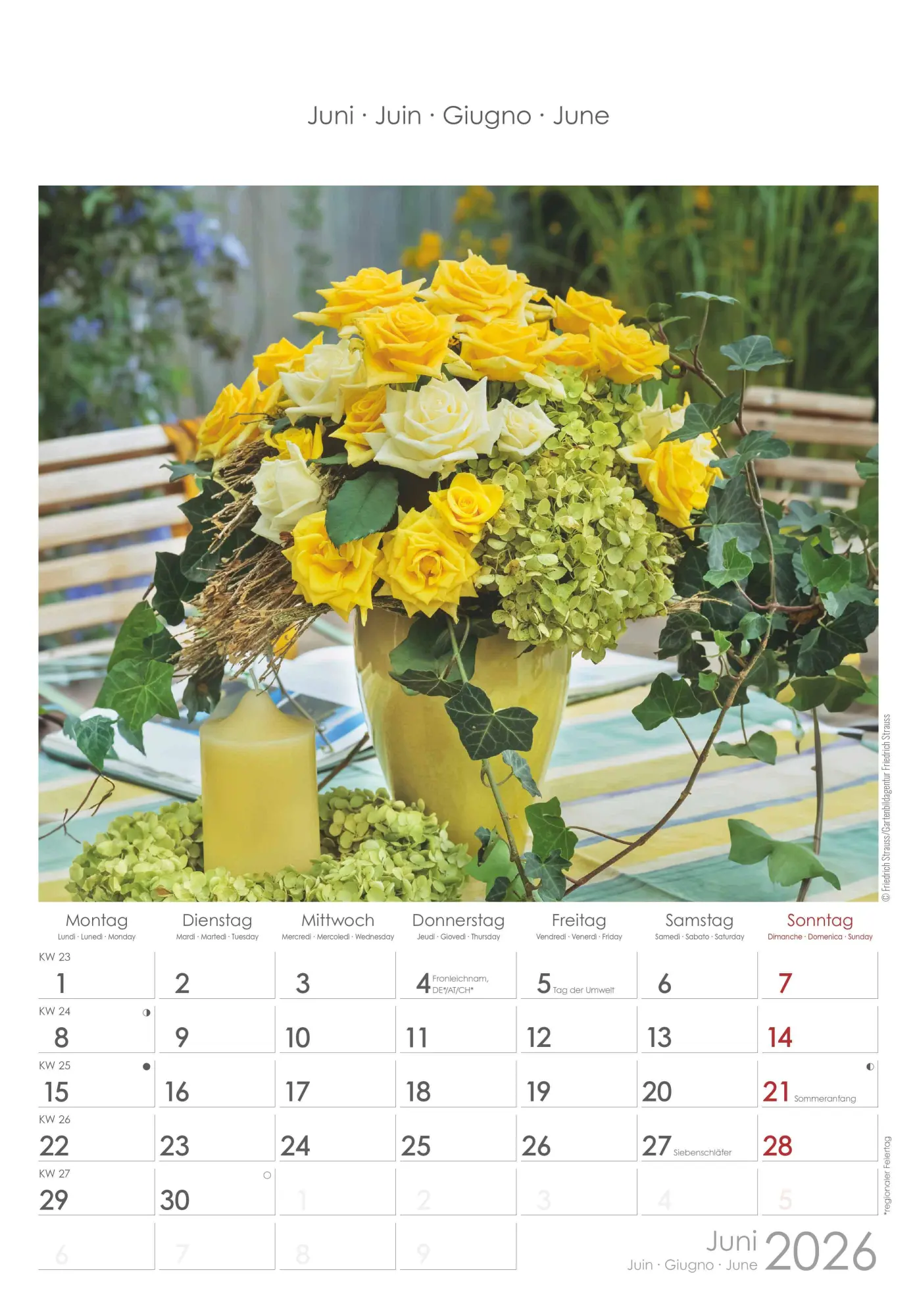 Bild: 4069095003132 | Rosenträume 2026 - Bildkalender 23,7x34 cm - Kalender mit Platz für...