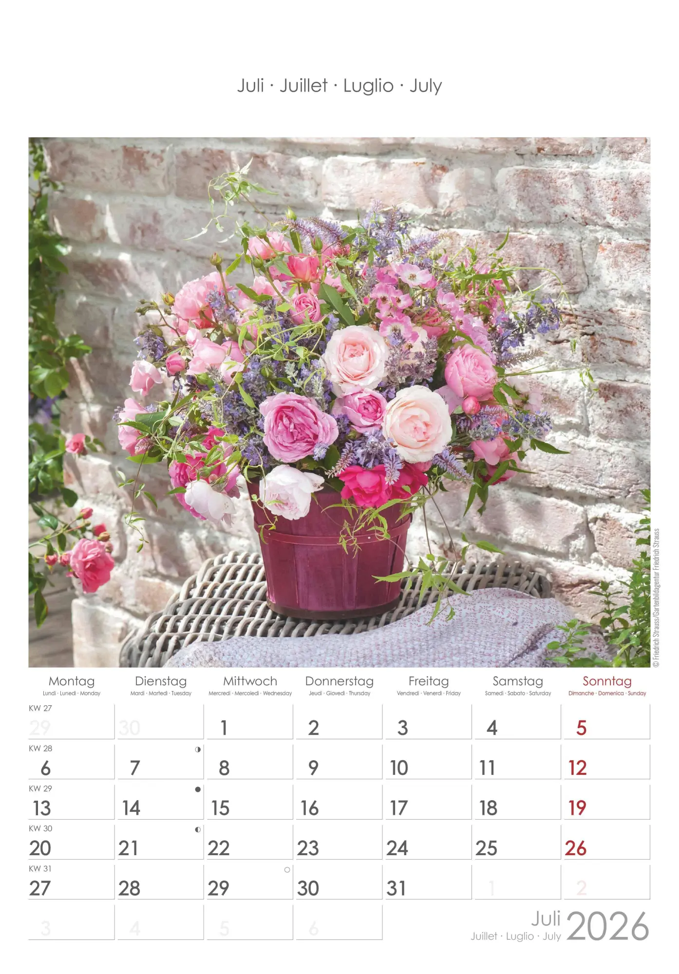Bild: 4069095003132 | Rosenträume 2026 - Bildkalender 23,7x34 cm - Kalender mit Platz für...