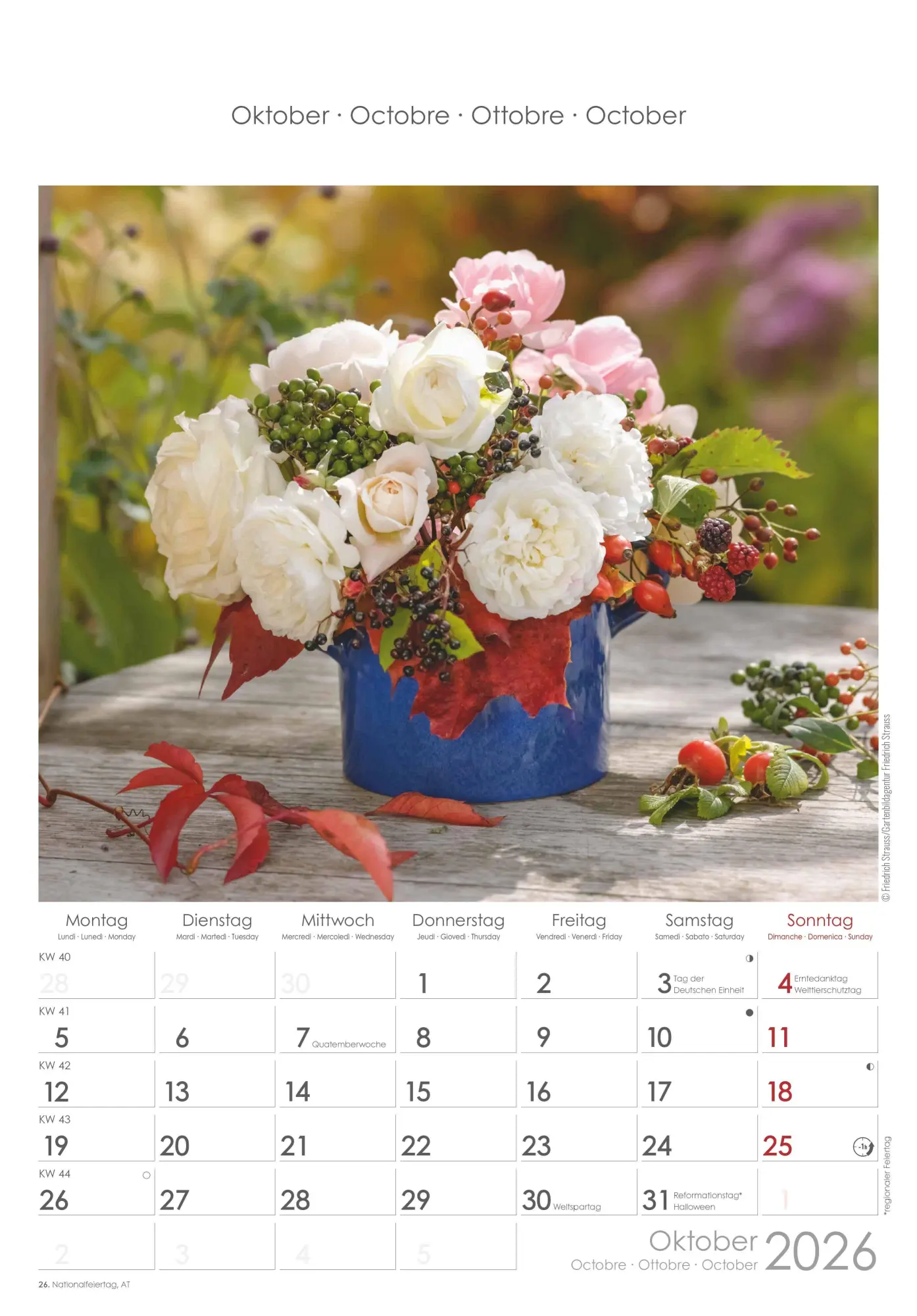 Bild: 4069095003132 | Rosenträume 2026 - Bildkalender 23,7x34 cm - Kalender mit Platz für...