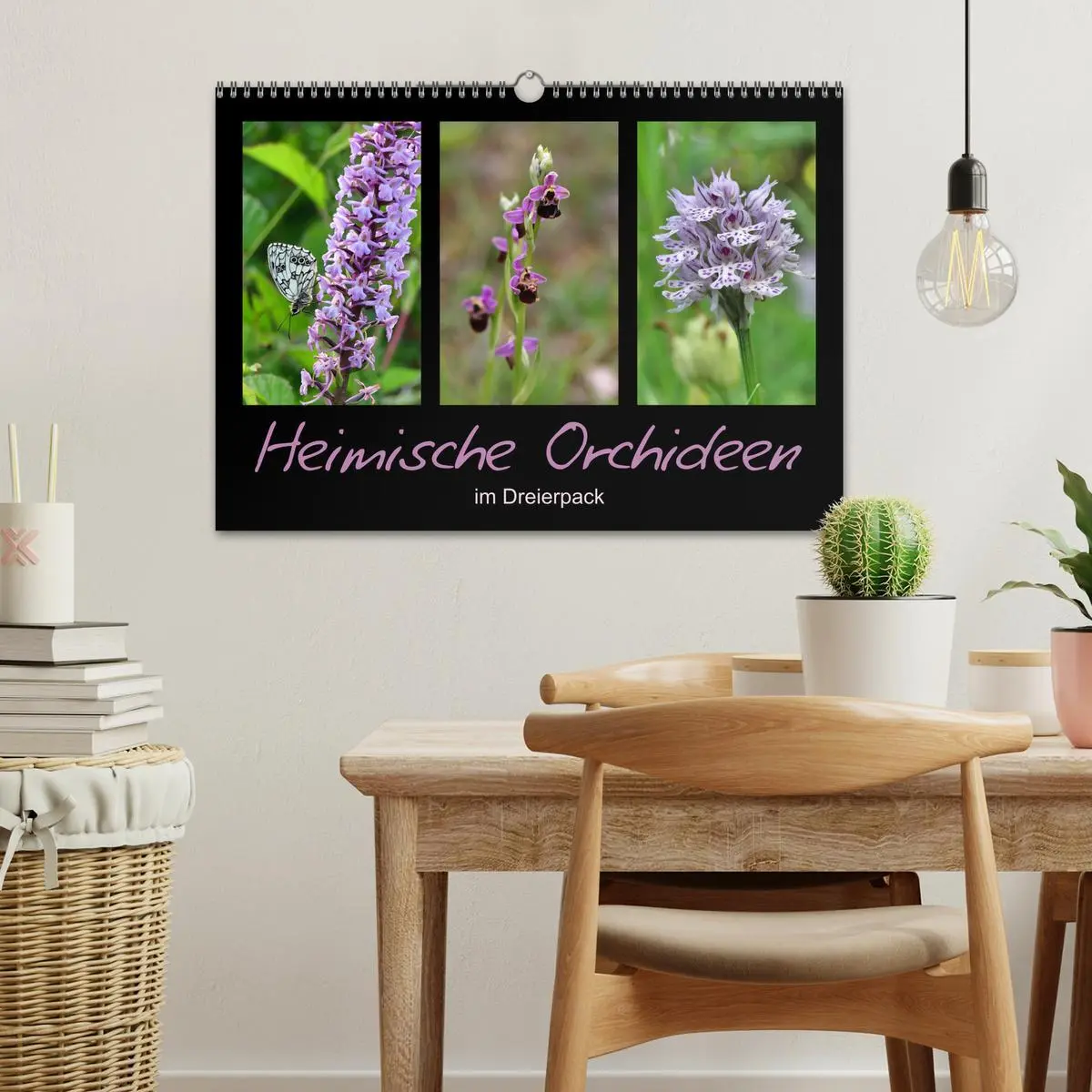 Bild: 9783457753132 | Heimische Orchideen im Dreierpack (Wandkalender 2026 DIN A3 quer),...