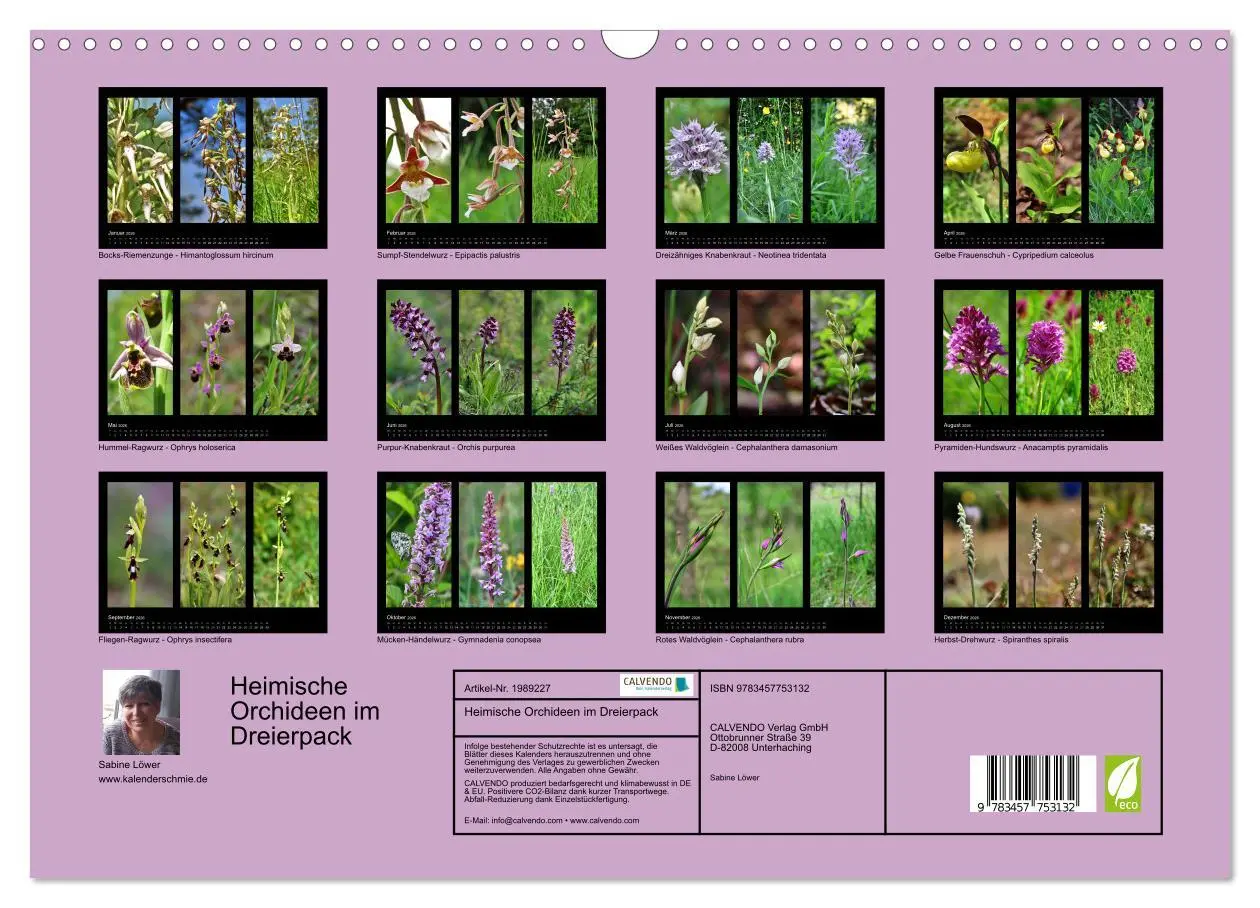 Bild: 9783457753132 | Heimische Orchideen im Dreierpack (Wandkalender 2026 DIN A3 quer),...