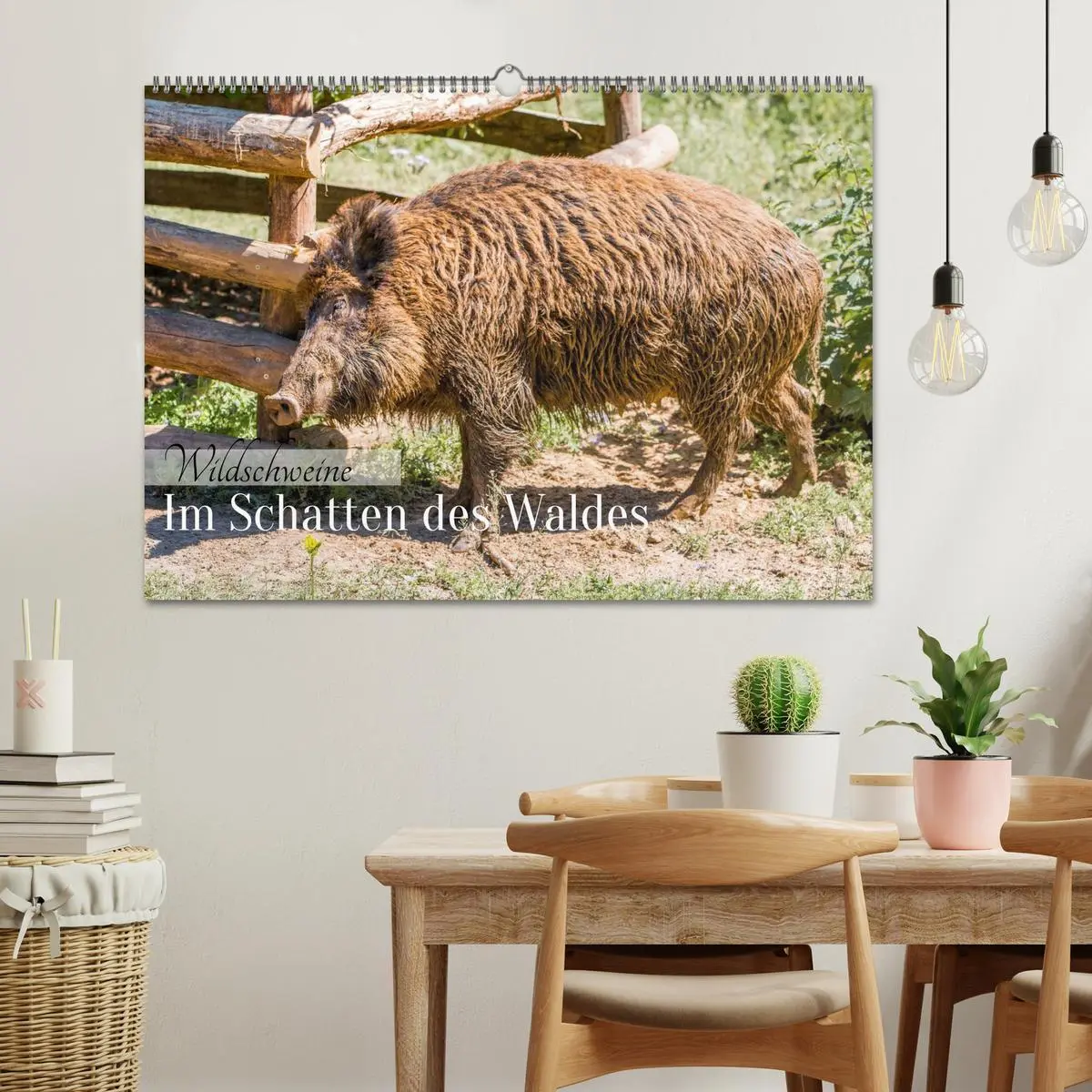 Bild: 9783516603132 | Wildschweine - Im Schatten des Waldes (Wandkalender 2026 DIN A2...