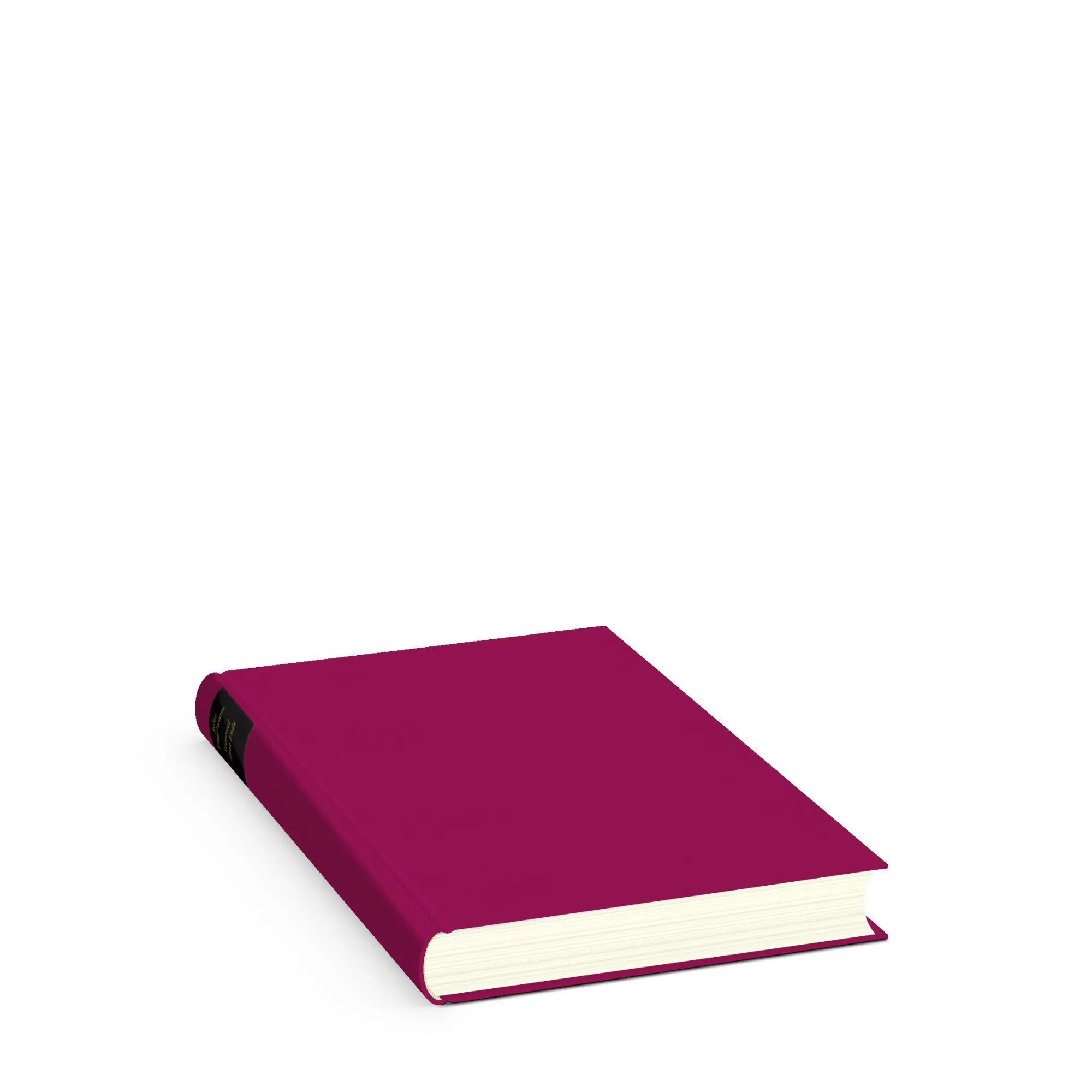 Bild: 9783257073232 | Himmel ohne Ende | Julia Engelmann | Buch | 336 S. | Deutsch | 2025