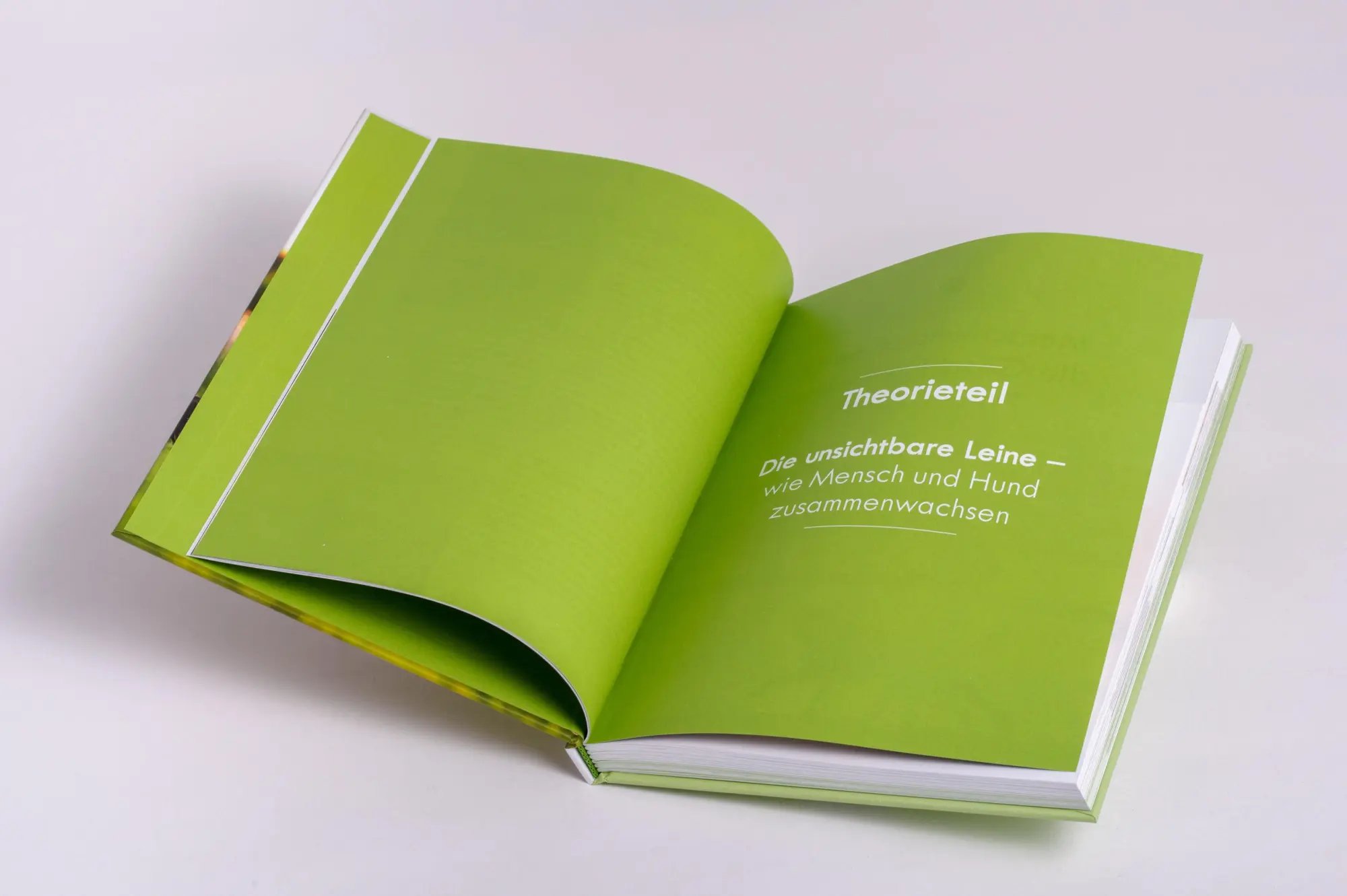 Bild: 9783442343232 | Artgerechte Hundeerziehung | Daniel Joeres | Buch | 224 S. | Deutsch
