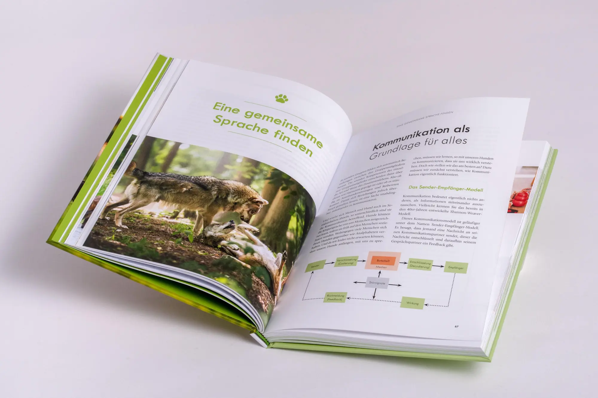 Bild: 9783442343232 | Artgerechte Hundeerziehung | Daniel Joeres | Buch | 224 S. | Deutsch