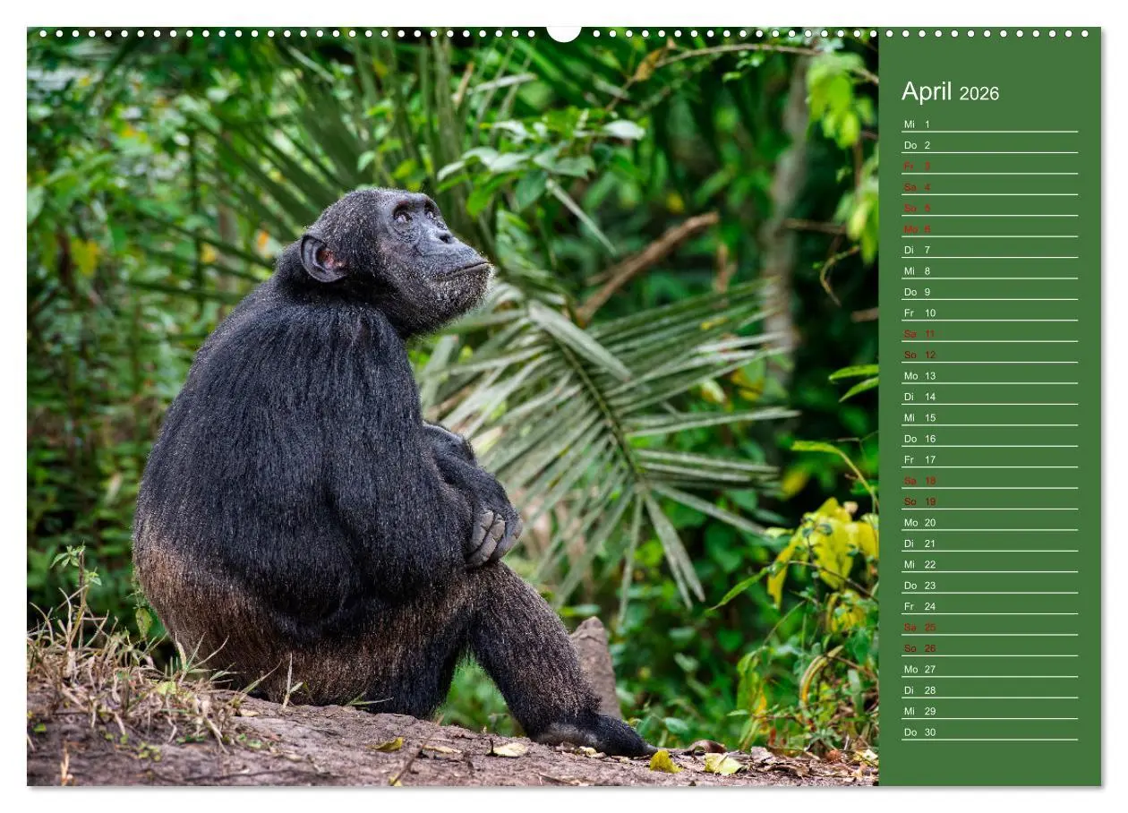 Bild: 9783457433232 | UGANDA - Perle Afrikas (hochwertiger Premium Wandkalender 2026 DIN...