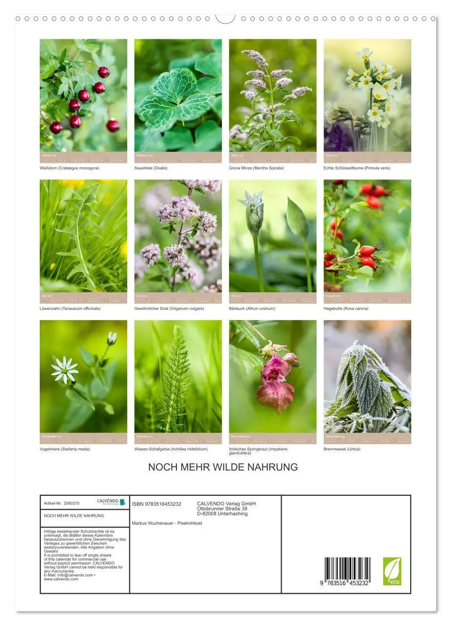 Bild: 9783516453232 | NOCH MEHR WILDE NAHRUNG (hochwertiger Premium Wandkalender 2026 DIN...