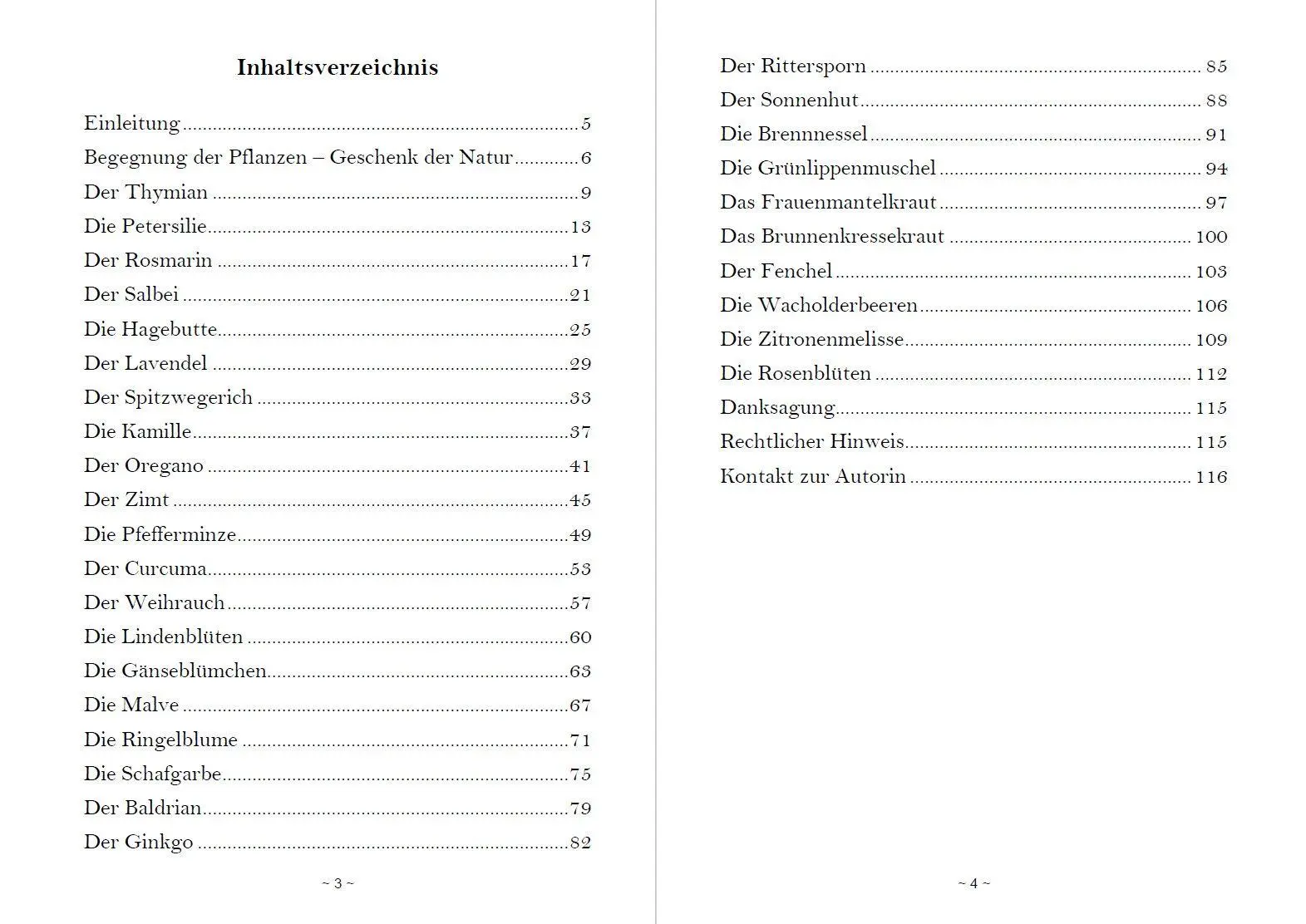 Bild: 9783967383232 | Fantasiereisen zu den Kräften der Natur | Petra Silberbauer | Buch