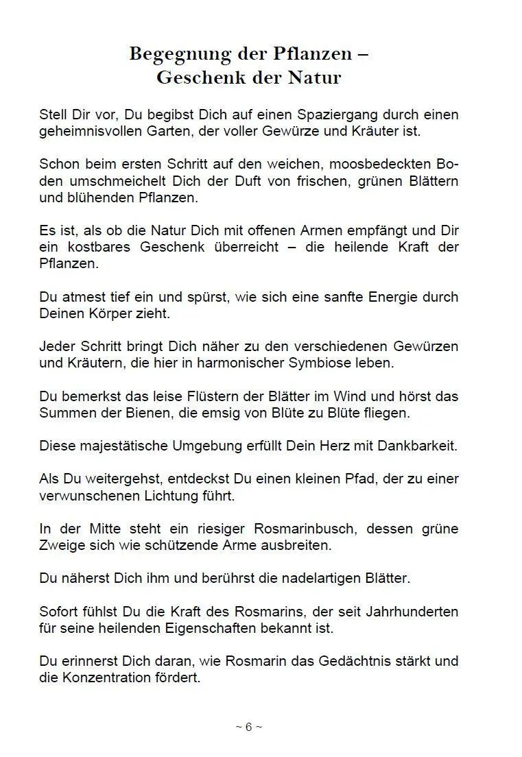 Bild: 9783967383232 | Fantasiereisen zu den Kräften der Natur | Petra Silberbauer | Buch