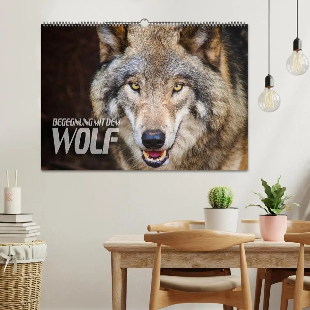Bild: 9783435263332 | Begegnung mit dem Wolf (Wandkalender 2025 DIN A2 quer), CALVENDO...