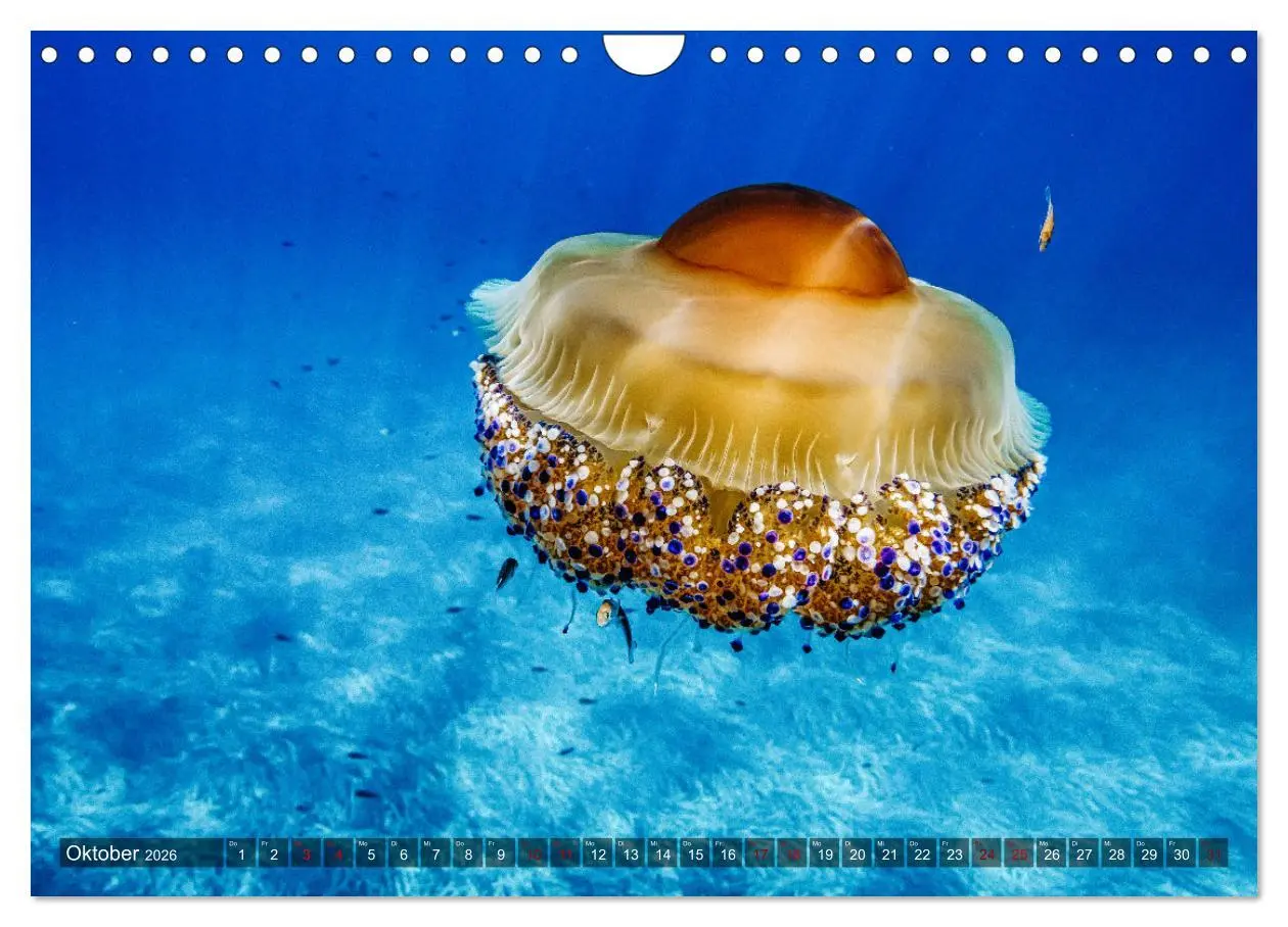 Bild: 9783457353332 | Bella Italia - Berge und Meer (Wandkalender 2026 DIN A4 quer),...