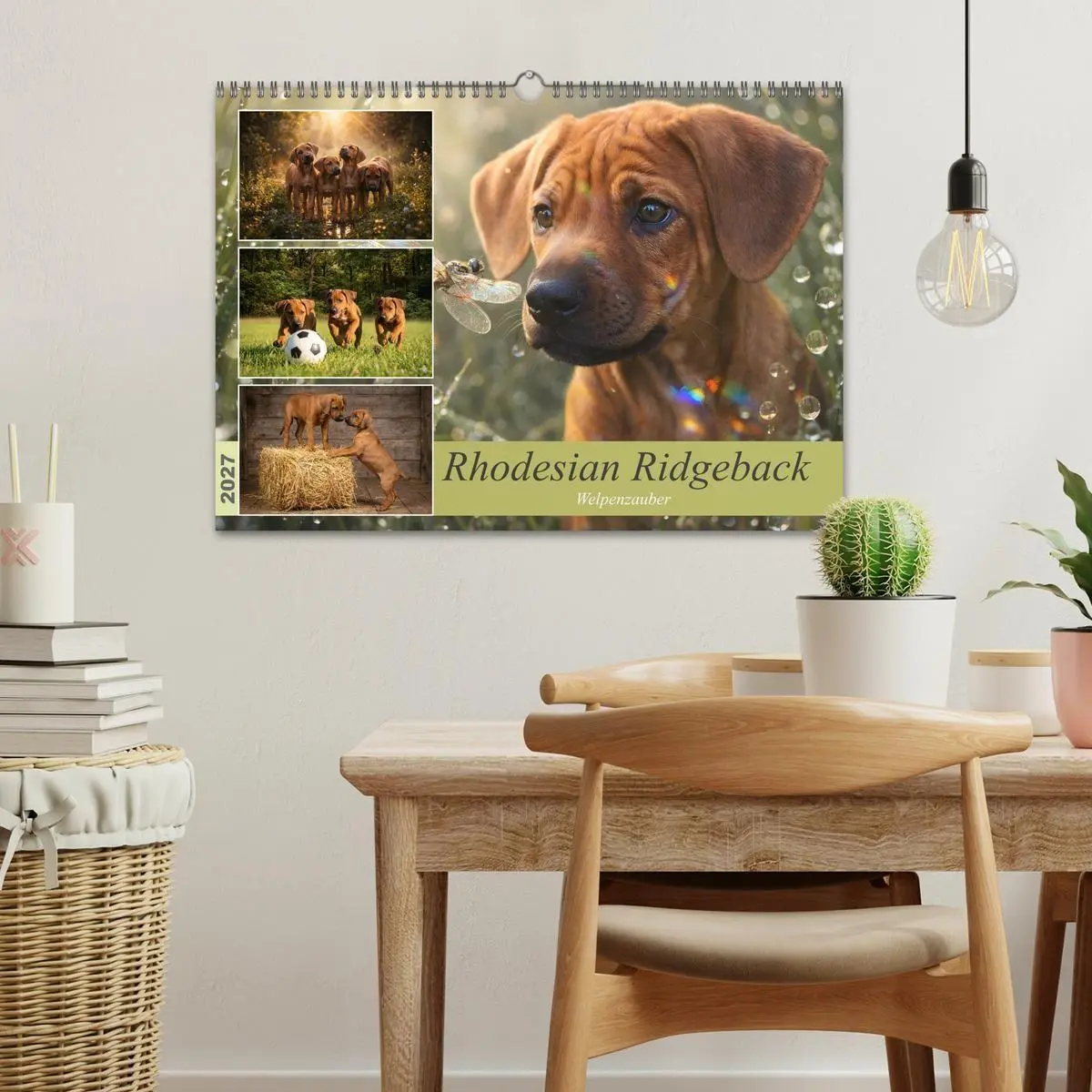 Bild: 9783516823332 | Rhodesian Ridgeback - Welpenzauber (Wandkalender 2027 DIN A3 quer),...