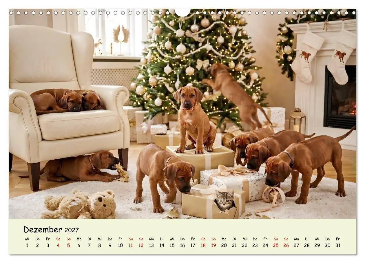 Bild: 9783516823332 | Rhodesian Ridgeback - Welpenzauber (Wandkalender 2027 DIN A3 quer),...