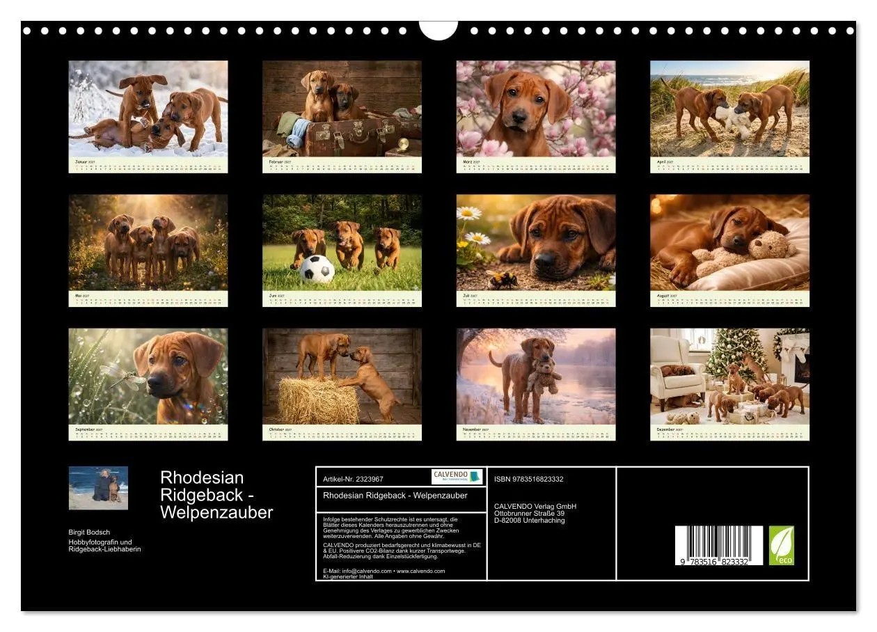 Bild: 9783516823332 | Rhodesian Ridgeback - Welpenzauber (Wandkalender 2027 DIN A3 quer),...