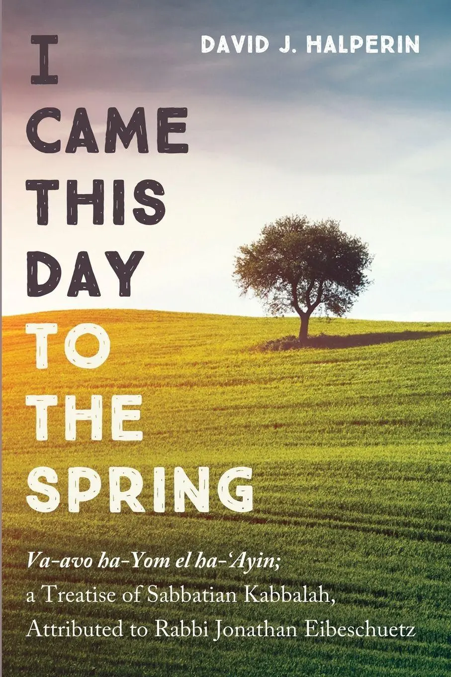 Cover: 9781532613432 | I Came This Day to the Spring | David J. Halperin | Taschenbuch | 2025