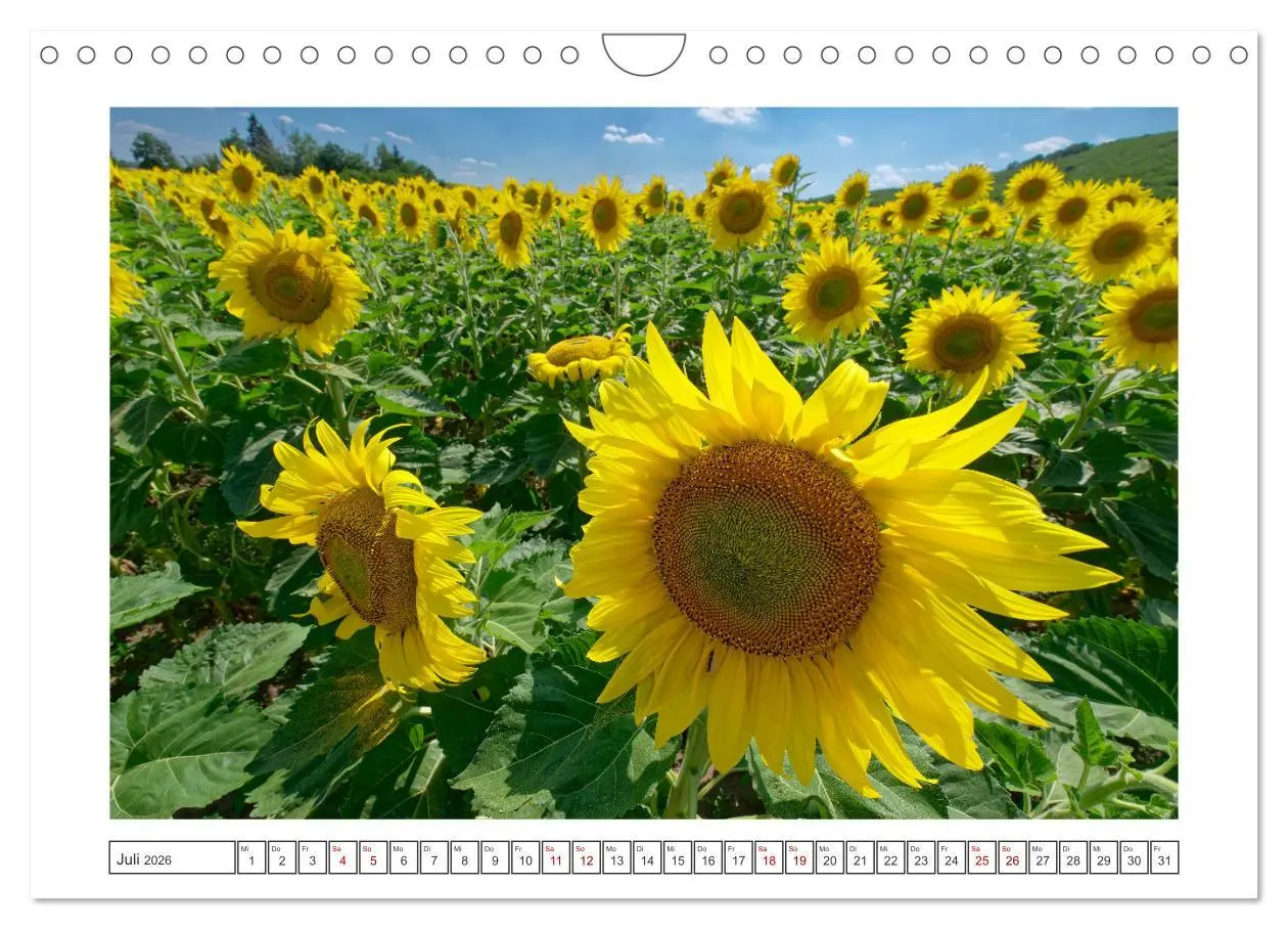 Bild: 9783457343432 | Bulgarien. Berge und Meer. (Wandkalender 2026 DIN A4 quer),...