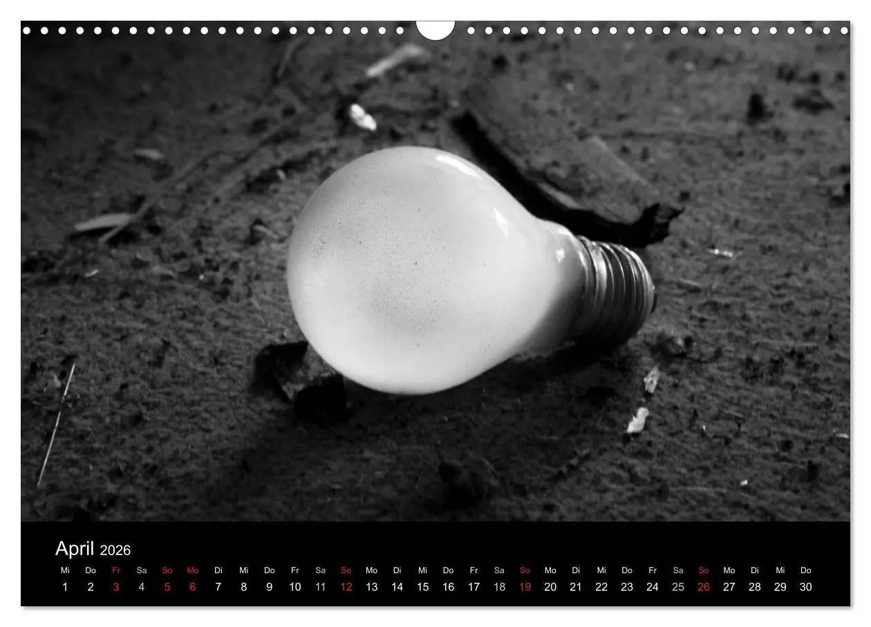 Bild: 9783516053432 | Objekte in schwarz weiss (Wandkalender 2026 DIN A3 quer), CALVENDO...