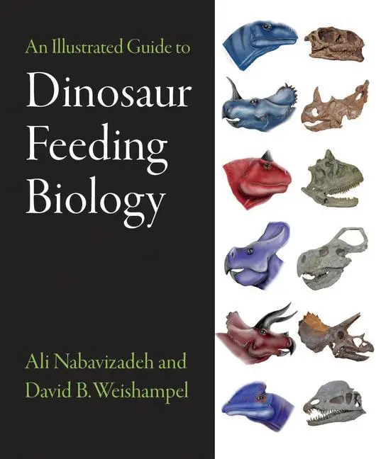 Cover: 9781421413532 | An Illustrated Guide to Dinosaur Feeding Biology | Nabavizadeh (u. a.)