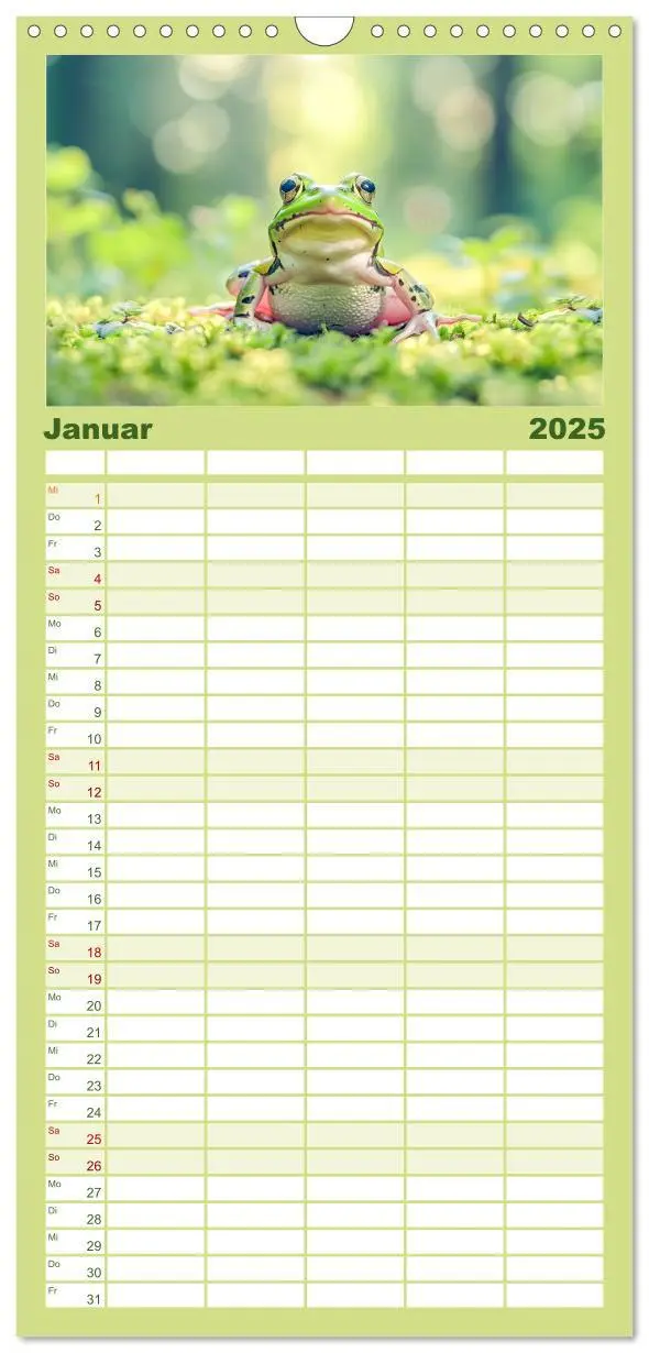 Bild: 9783457193532 | Familienplaner 2025 - Lustige Amphibienbande mit 5 Spalten...