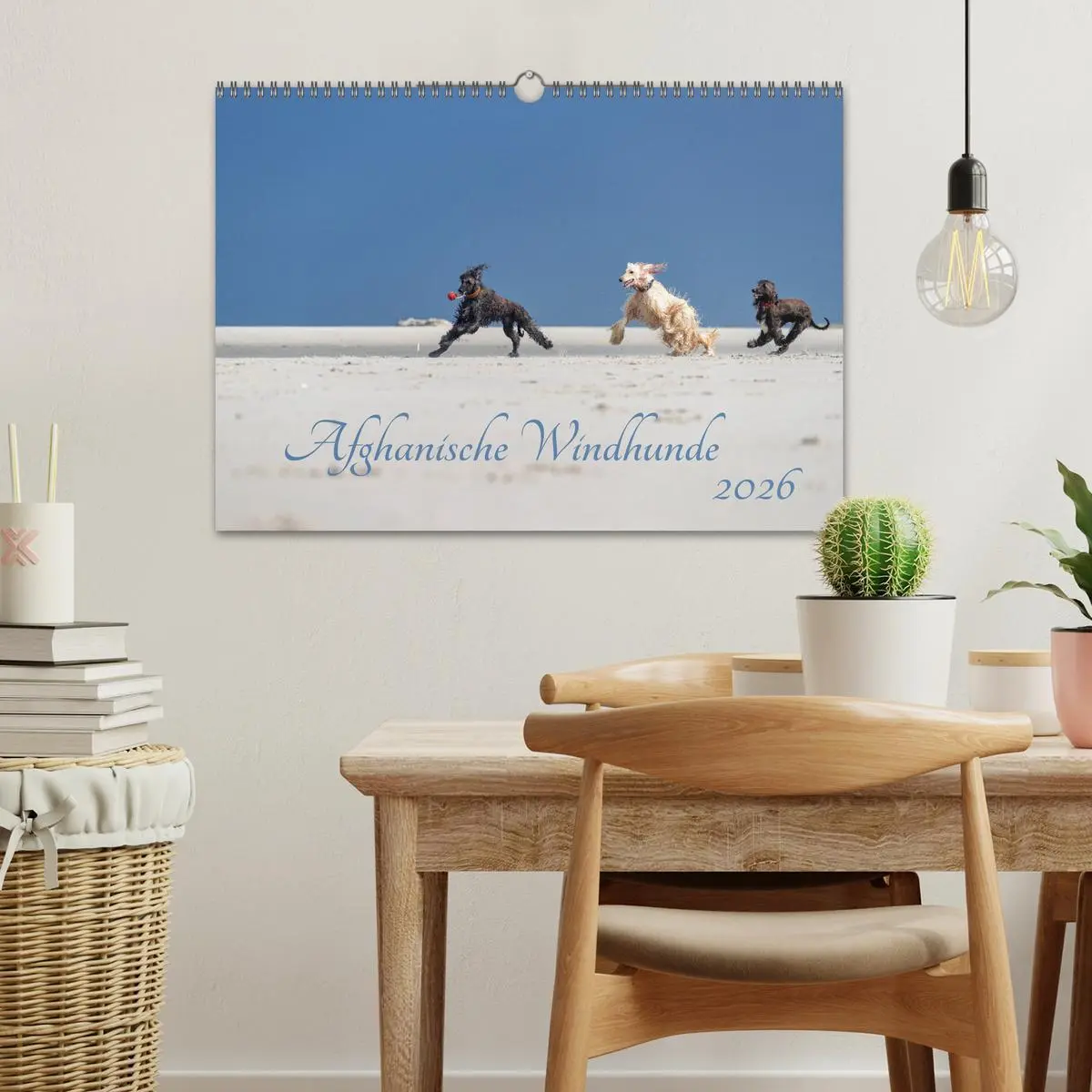 Bild: 9783457883532 | AFGHANISCHE WINDHUNDE 2026 (Wandkalender 2026 DIN A3 quer),...