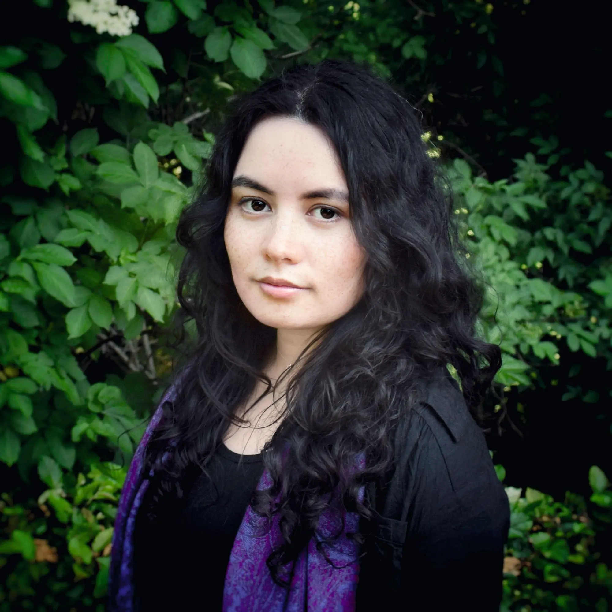 Autor: 9783505153532 | Die Dinoschule. Ein dinostarker Schulstart | Britta Sabbag (u. a.)