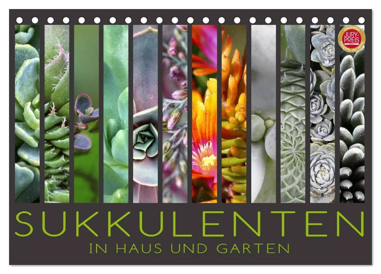 Cover: 9783516043532 | Sukkulenten in Haus und Garten (Tischkalender 2026 DIN A5 quer),...