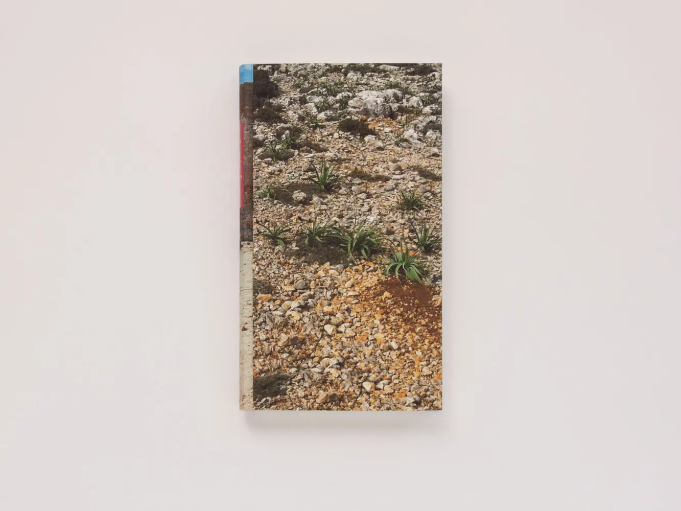 Bild: 9783847703532 | Zwischen den Zeiten | Marcello Fois | Buch | 284 S. | Deutsch | 2014
