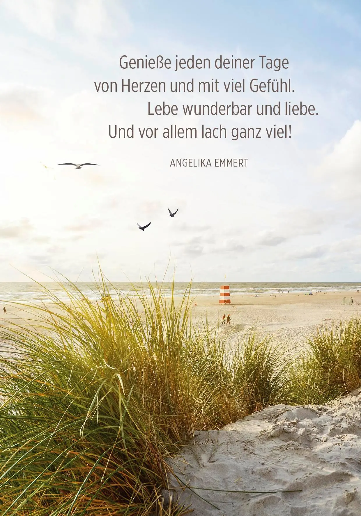 Bild: 4036442013632 | Buchkalender 2026: Zeit für Neues | Groh Verlag | Kalender | 144 S.
