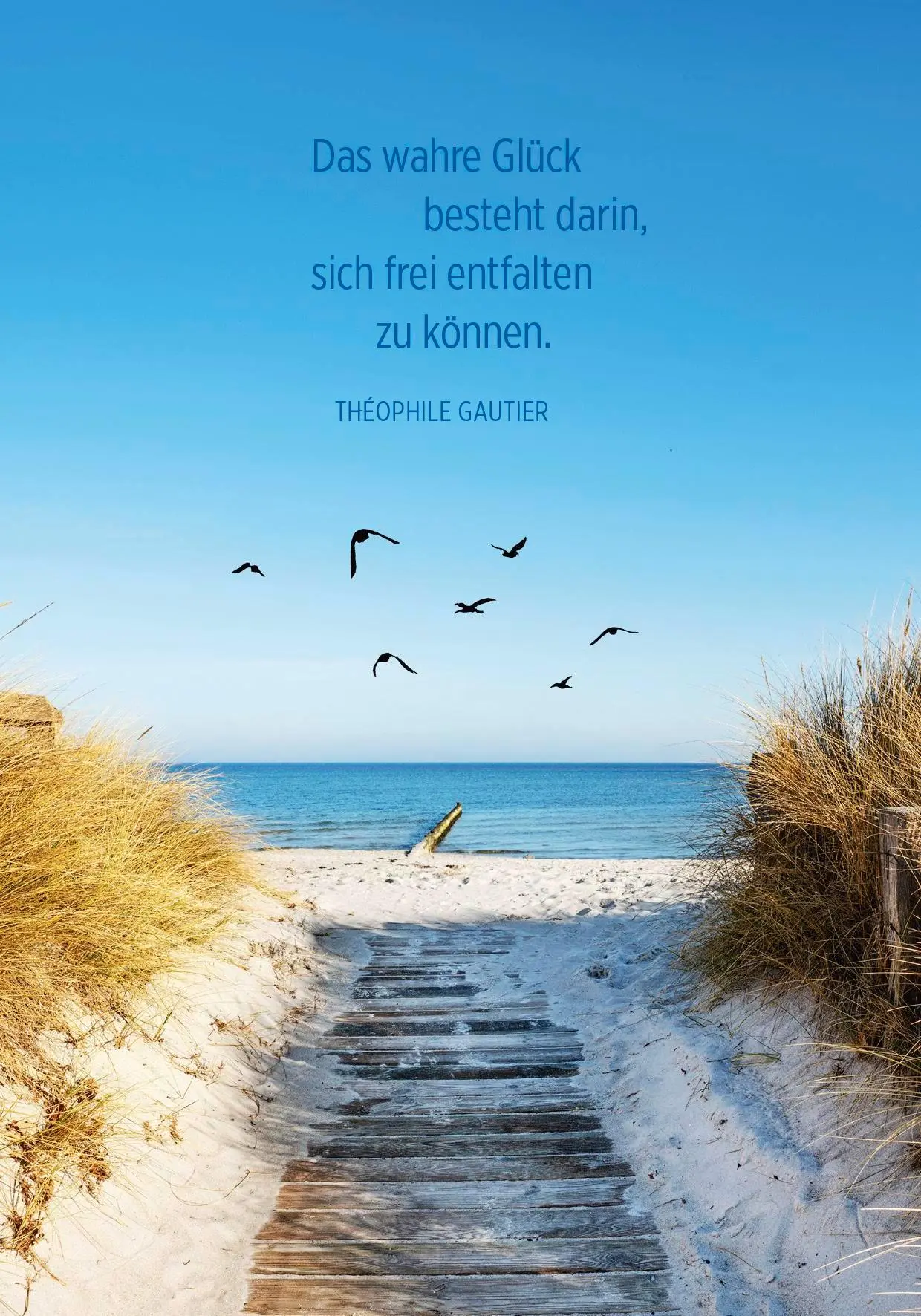 Bild: 4036442013632 | Buchkalender 2026: Zeit für Neues | Groh Verlag | Kalender | 144 S.