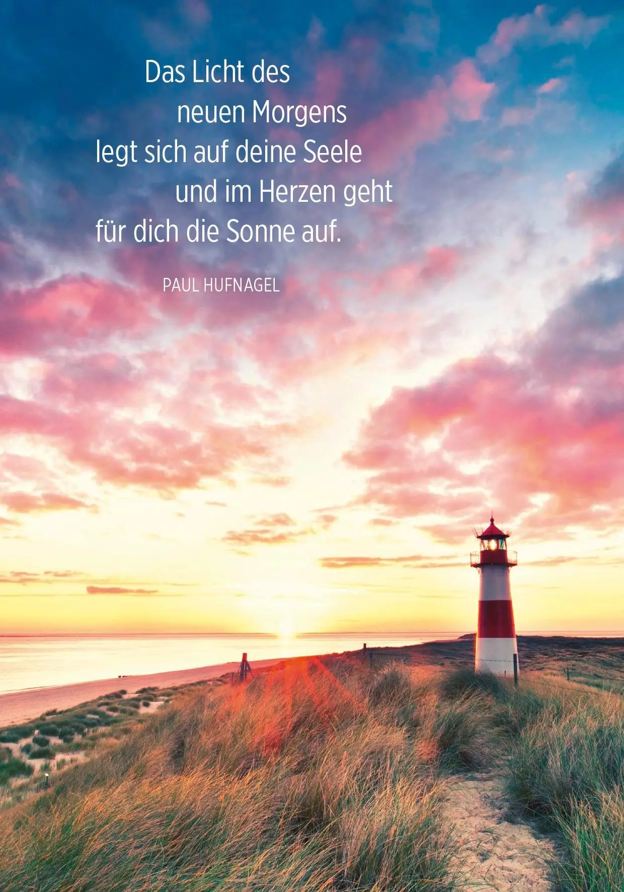 Bild: 4036442013632 | Buchkalender 2026: Zeit für Neues | Groh Verlag | Kalender | 144 S.