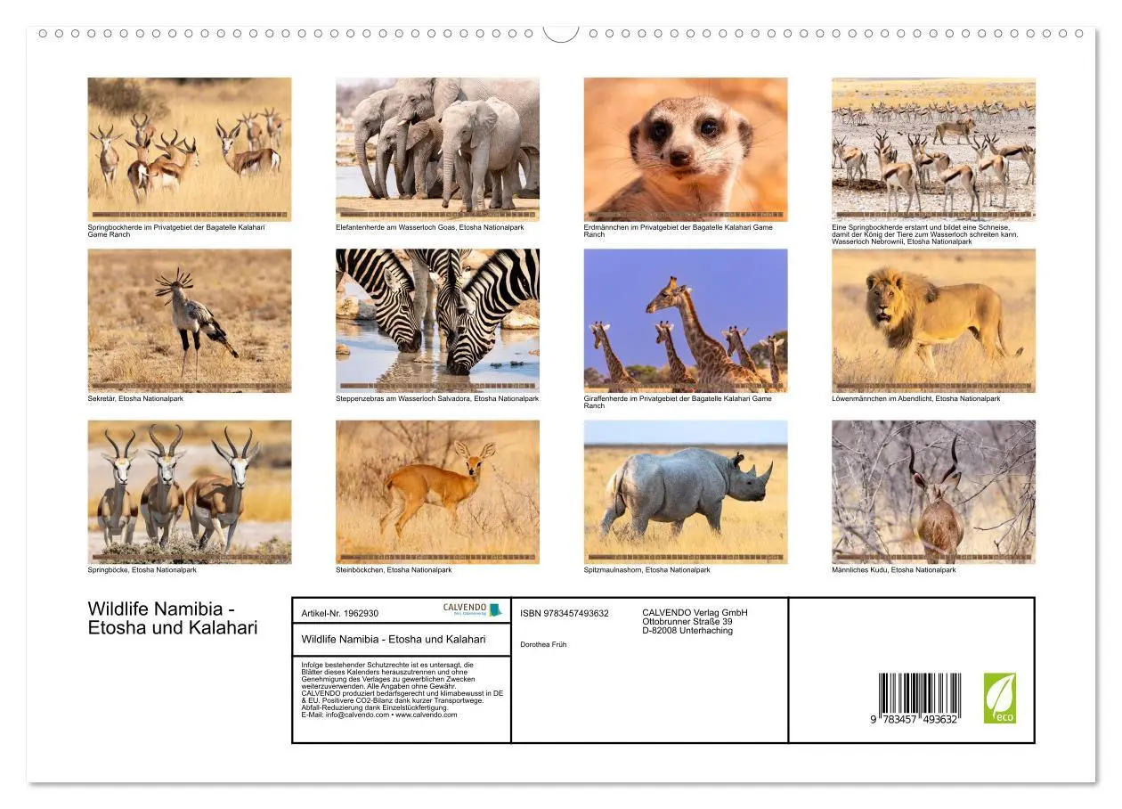 Bild: 9783457493632 | Wildlife Namibia - Etosha und Kalahari (hochwertiger Premium...