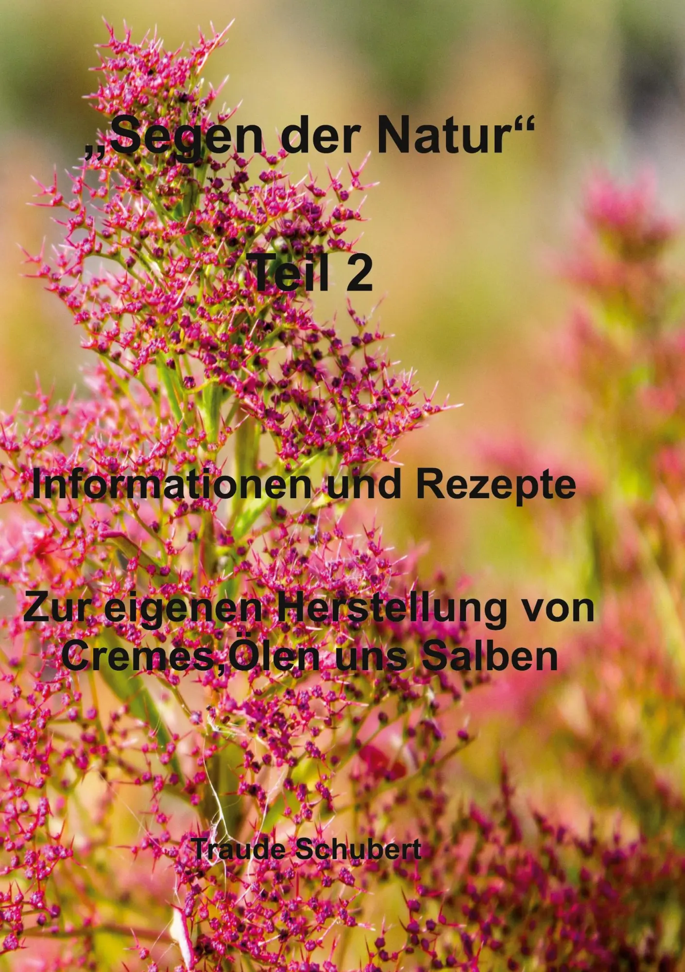 Cover: 9783758383632 | Segen der Natur - Teil 2 | Traude Schubert | Taschenbuch | Paperback