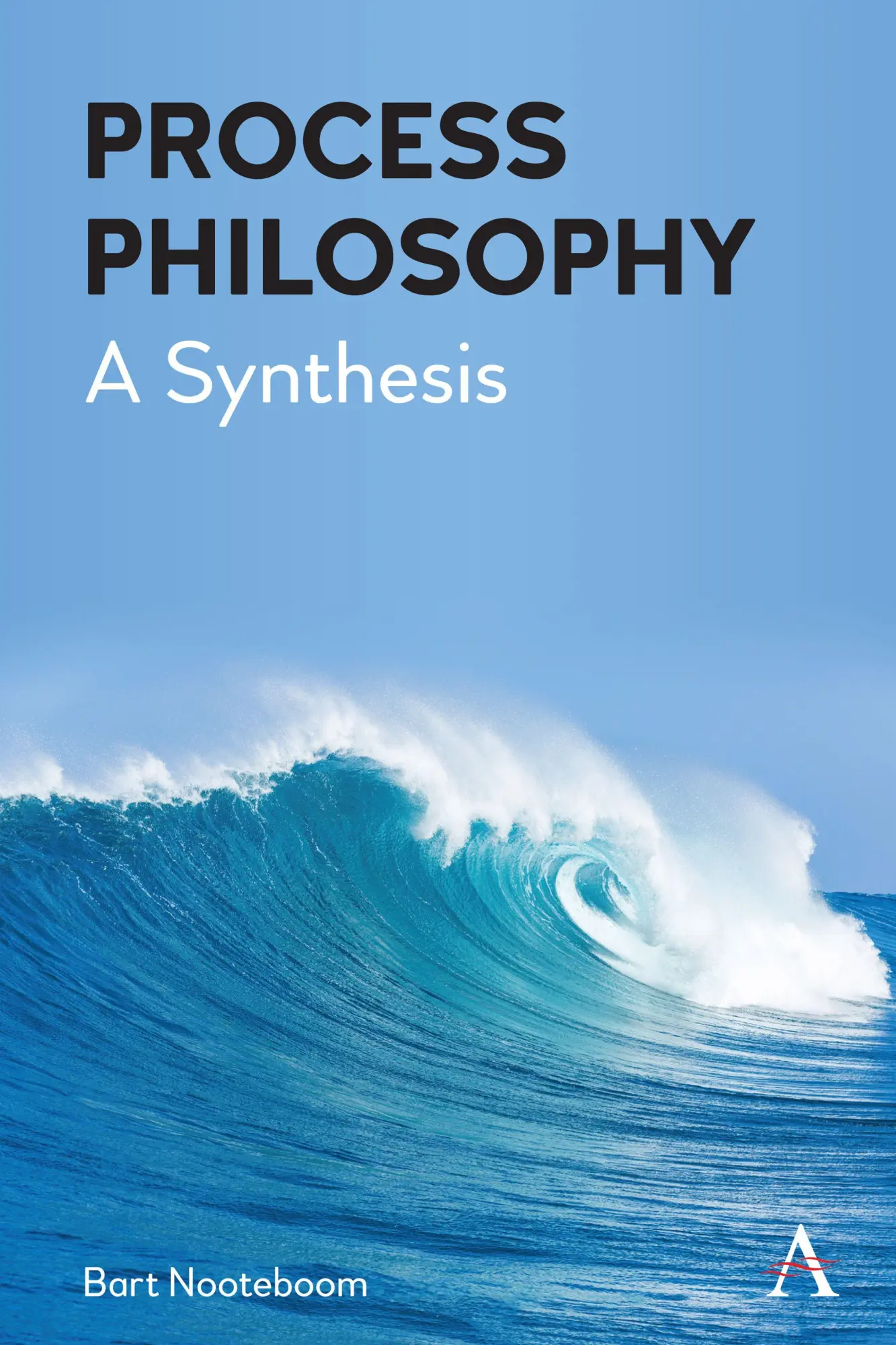 Cover: 9781839993732 | Process Philosophy | A Synthesis | Bart Nooteboom | Taschenbuch | 2025