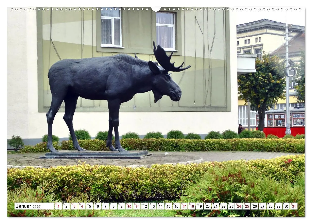 Bild: 9783457623732 | Ostpreußens Elche (Wandkalender 2026 DIN A2 quer), CALVENDO...