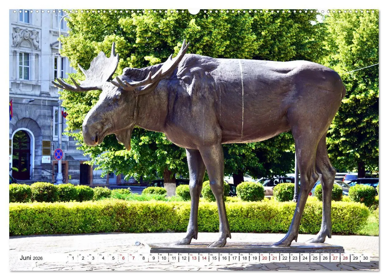 Bild: 9783457623732 | Ostpreußens Elche (Wandkalender 2026 DIN A2 quer), CALVENDO...