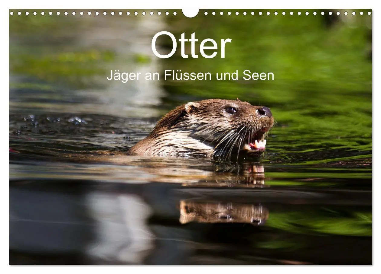 Cover: 9783457863732 | Otter - Jäger an Flüssen und Seen (Wandkalender 2026 DIN A3 quer),...