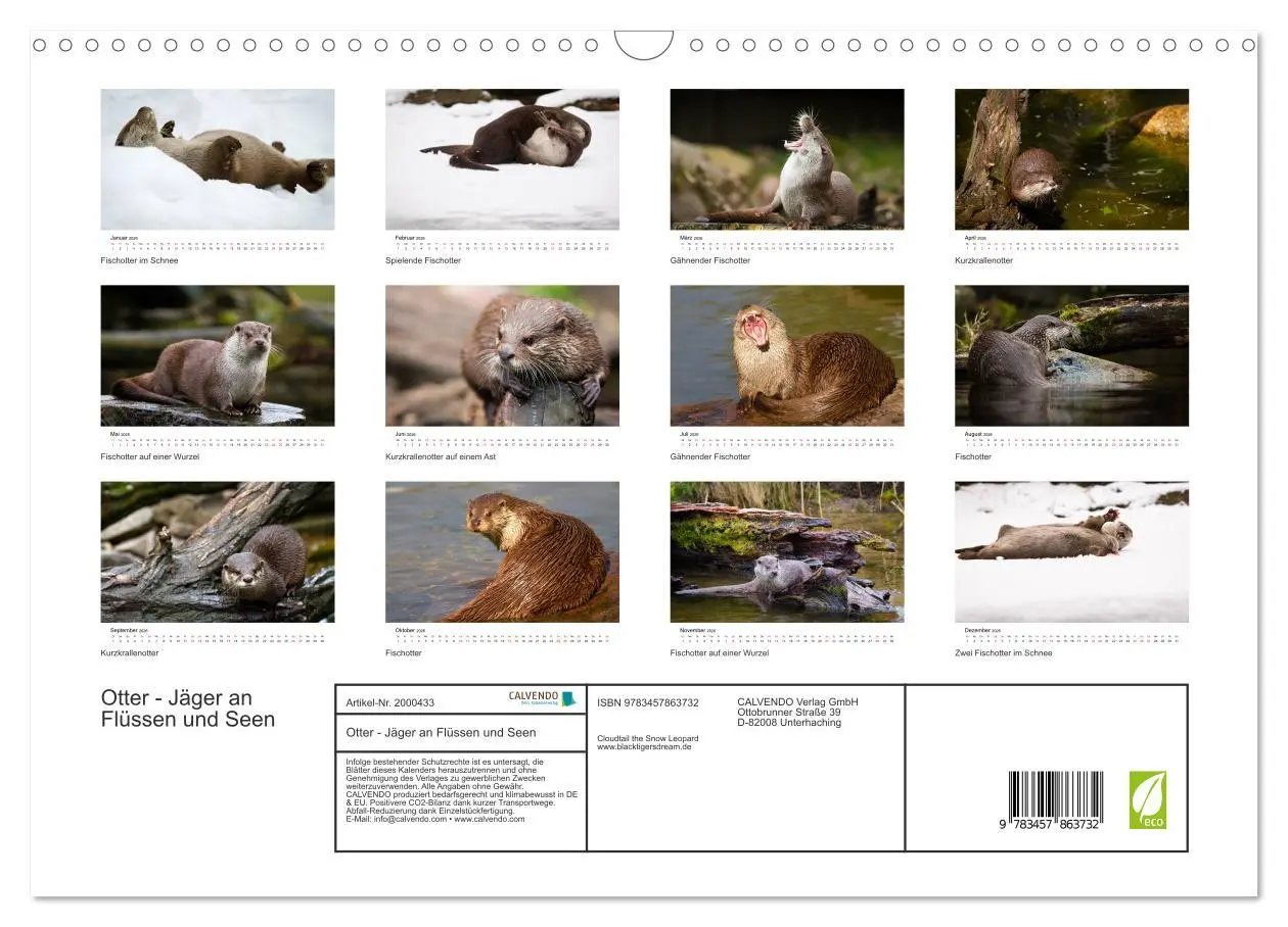 Bild: 9783457863732 | Otter - Jäger an Flüssen und Seen (Wandkalender 2026 DIN A3 quer),...