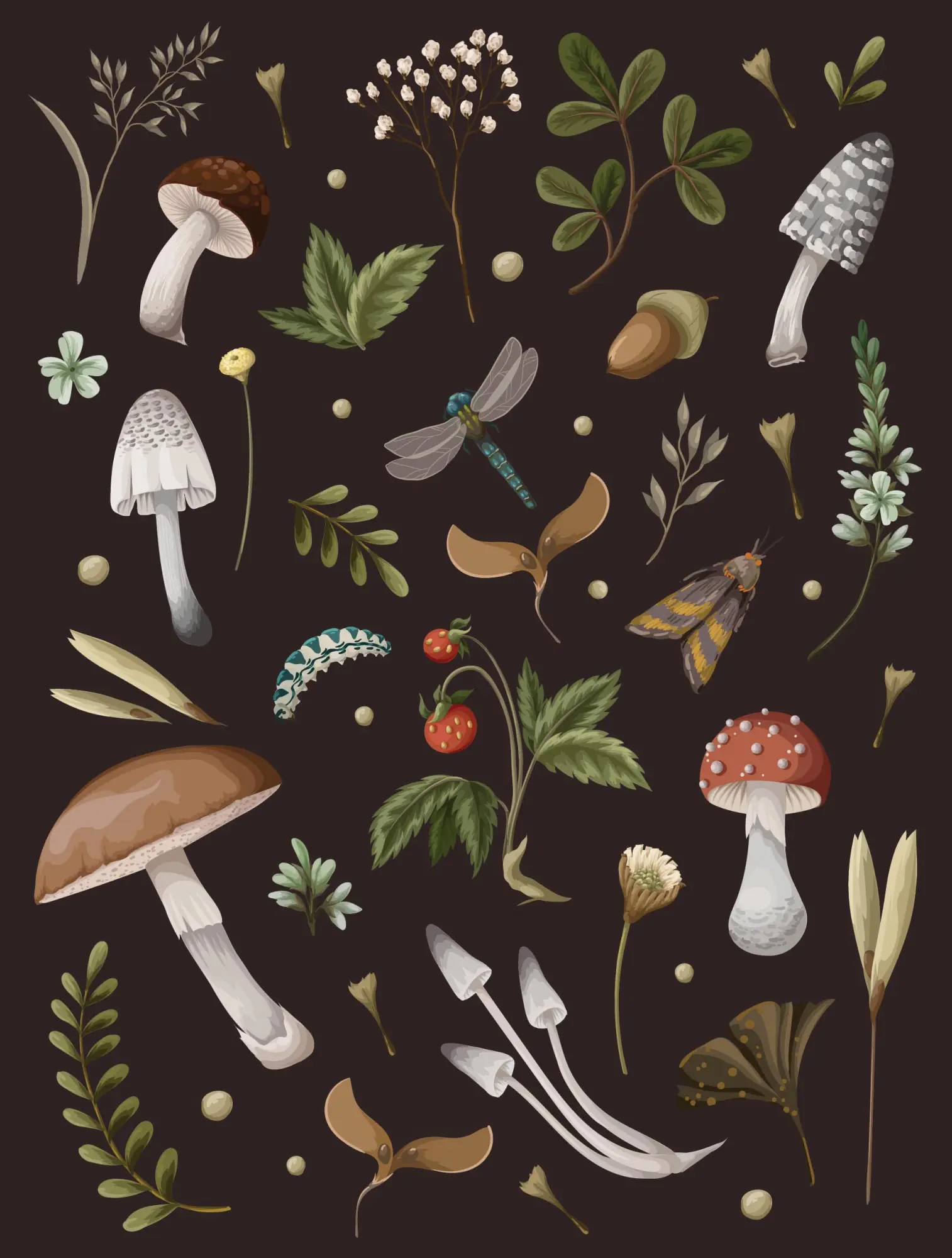 Cover: 9780785843832 | Mushroom Lined Journal | Editors of Chartwell Books | Buch | Englisch