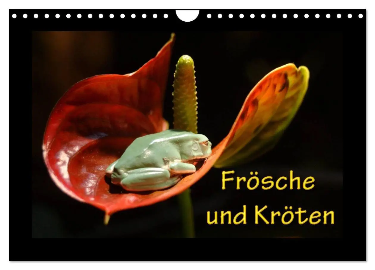 Cover: 9783594163832 | Frösche und Kröten (Wandkalender 2027 DIN A4 quer), CALVENDO...