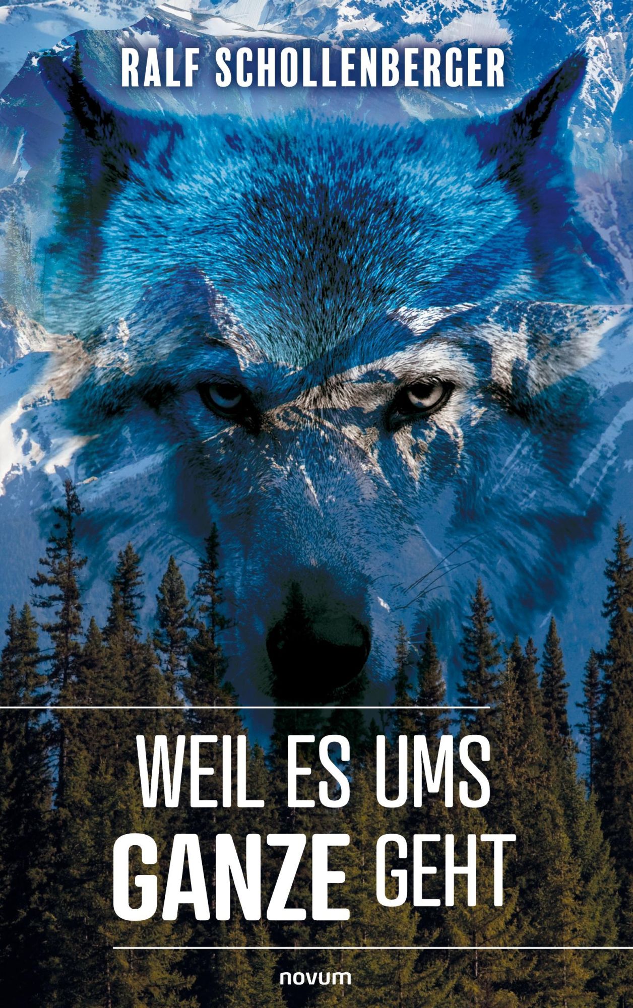 Cover: 9783991463832 | Weil es ums Ganze geht | Ralf Schollenberger | Taschenbuch | 162 S.