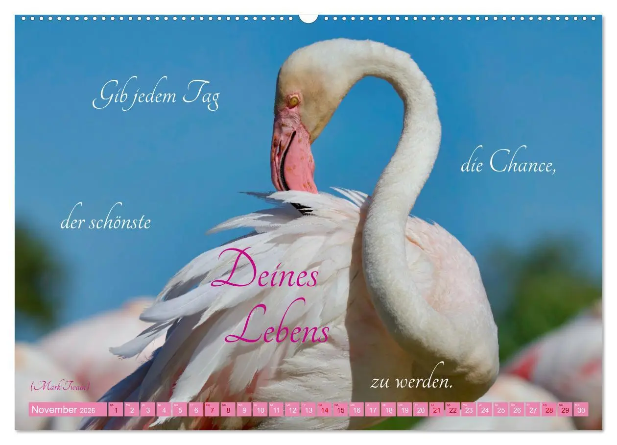 Bild: 9783457393932 | The Power Of Pink (hochwertiger Premium Wandkalender 2026 DIN A2...